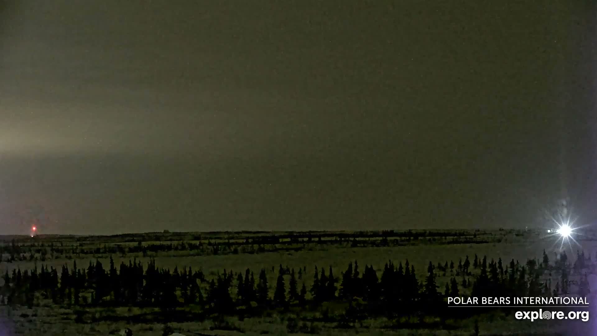 Churchill Marine Observatory, Northern Lights / Aurora Borealis / Stars View Live Cam - Churchill, Division No. 23, Northern Manitoba, Manitoba, Canada 