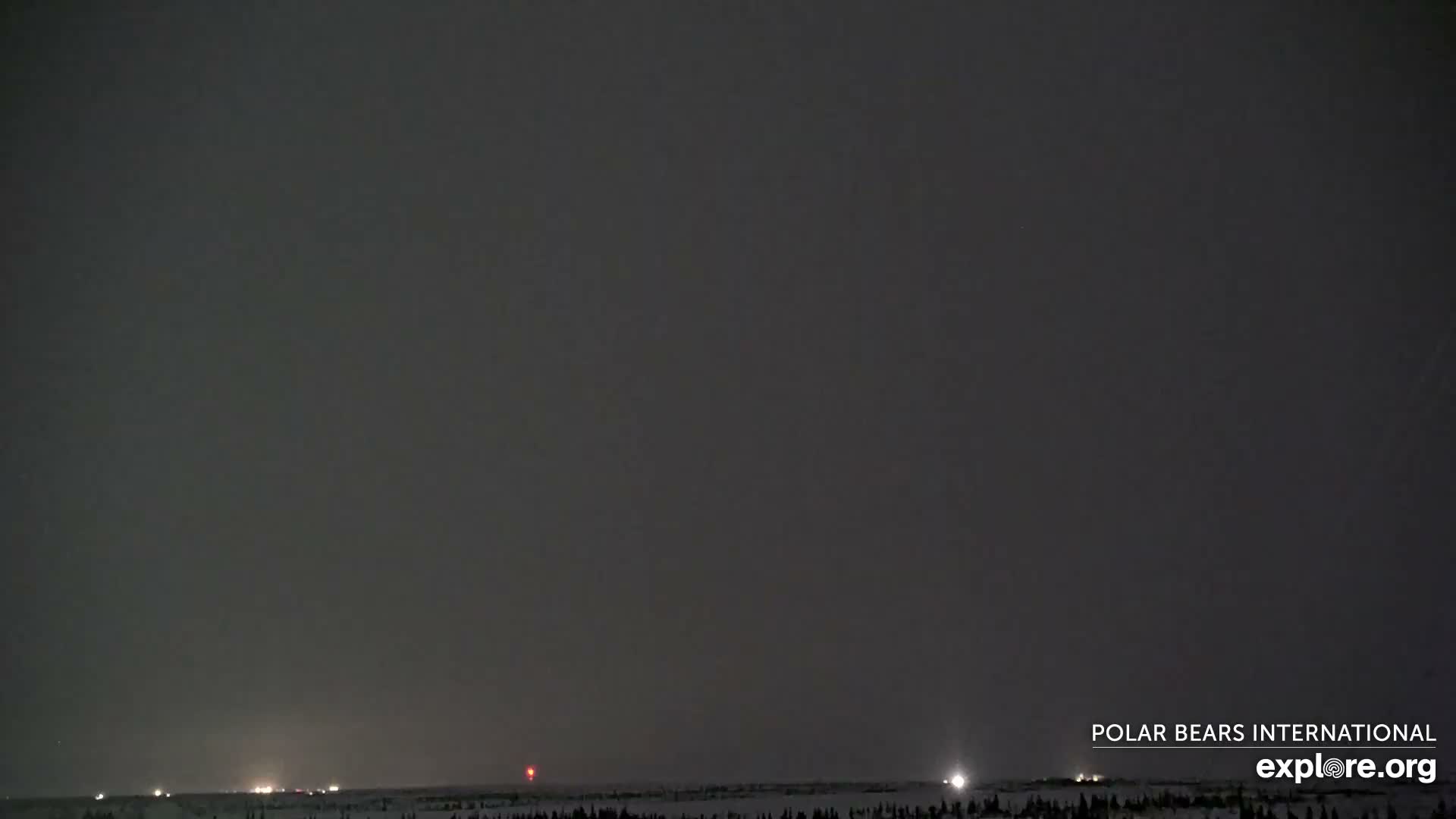 Churchill Marine Observatory, Northern Lights / Aurora Borealis / Stars View Live Cam - Churchill, Division No. 23, Northern Manitoba, Manitoba, Canada 