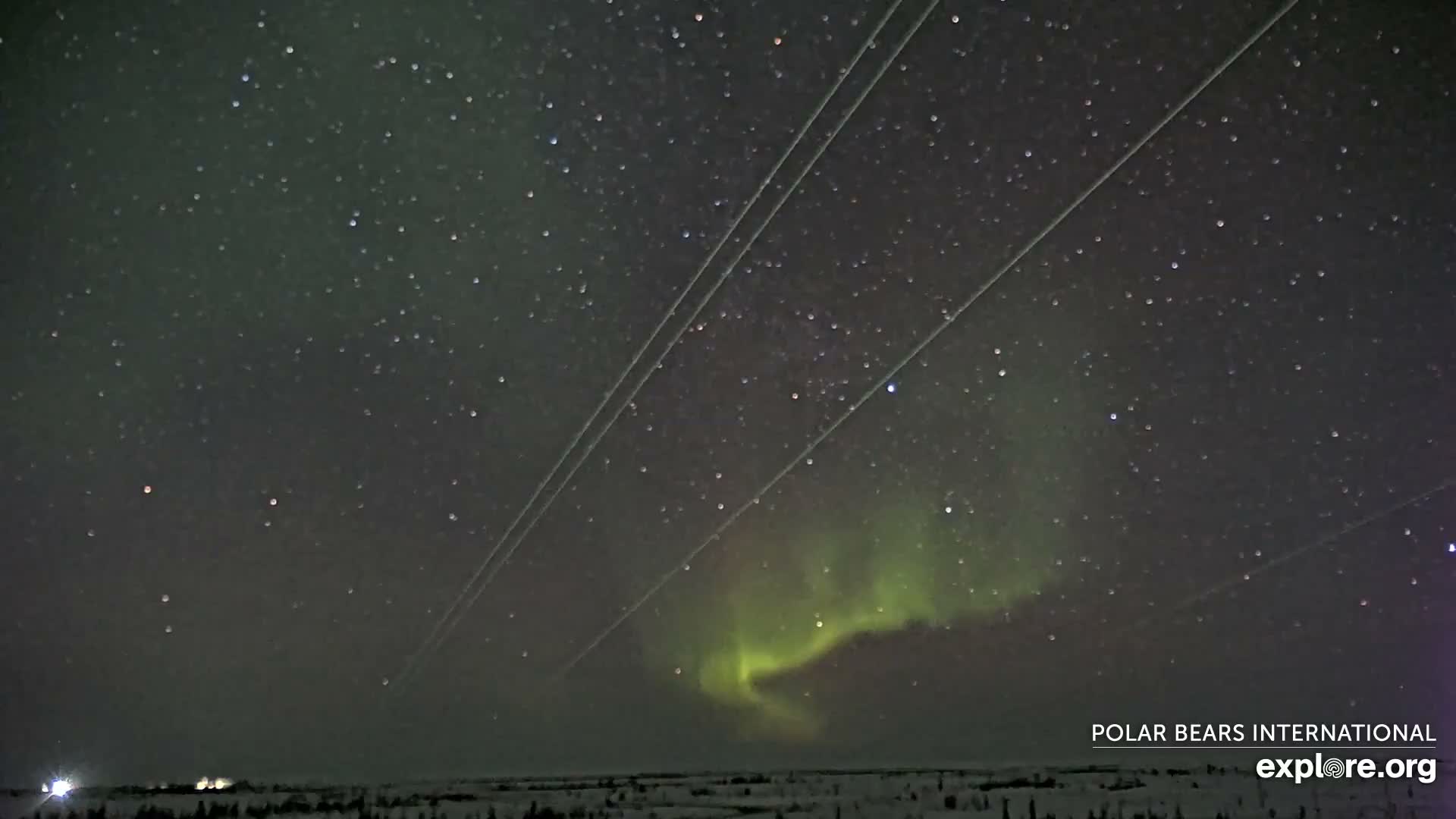 Churchill Marine Observatory, Northern Lights / Aurora Borealis / Stars View Live Cam - Churchill, Division No. 23, Northern Manitoba, Manitoba, Canada 