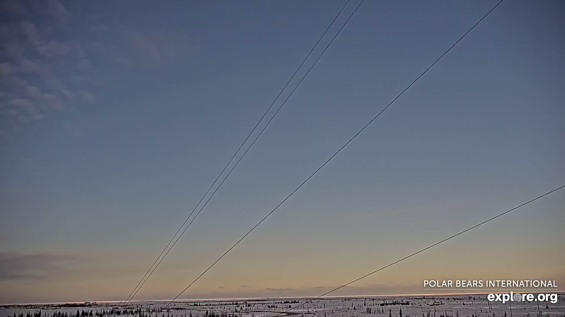 Churchill Marine Observatory, Northern Lights / Aurora Borealis / Stars View Live Cam - Churchill, Division No. 23, Northern Manitoba, Manitoba, Canada 