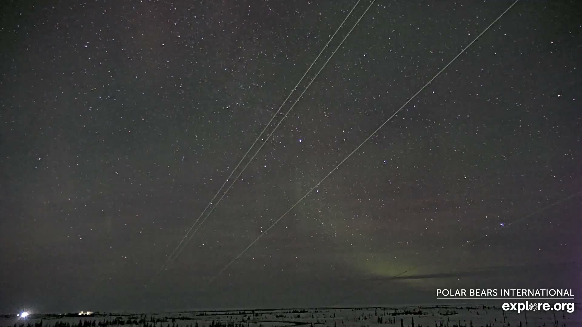 Churchill Marine Observatory, Northern Lights / Aurora Borealis / Stars View Live Cam - Churchill, Division No. 23, Northern Manitoba, Manitoba, Canada 