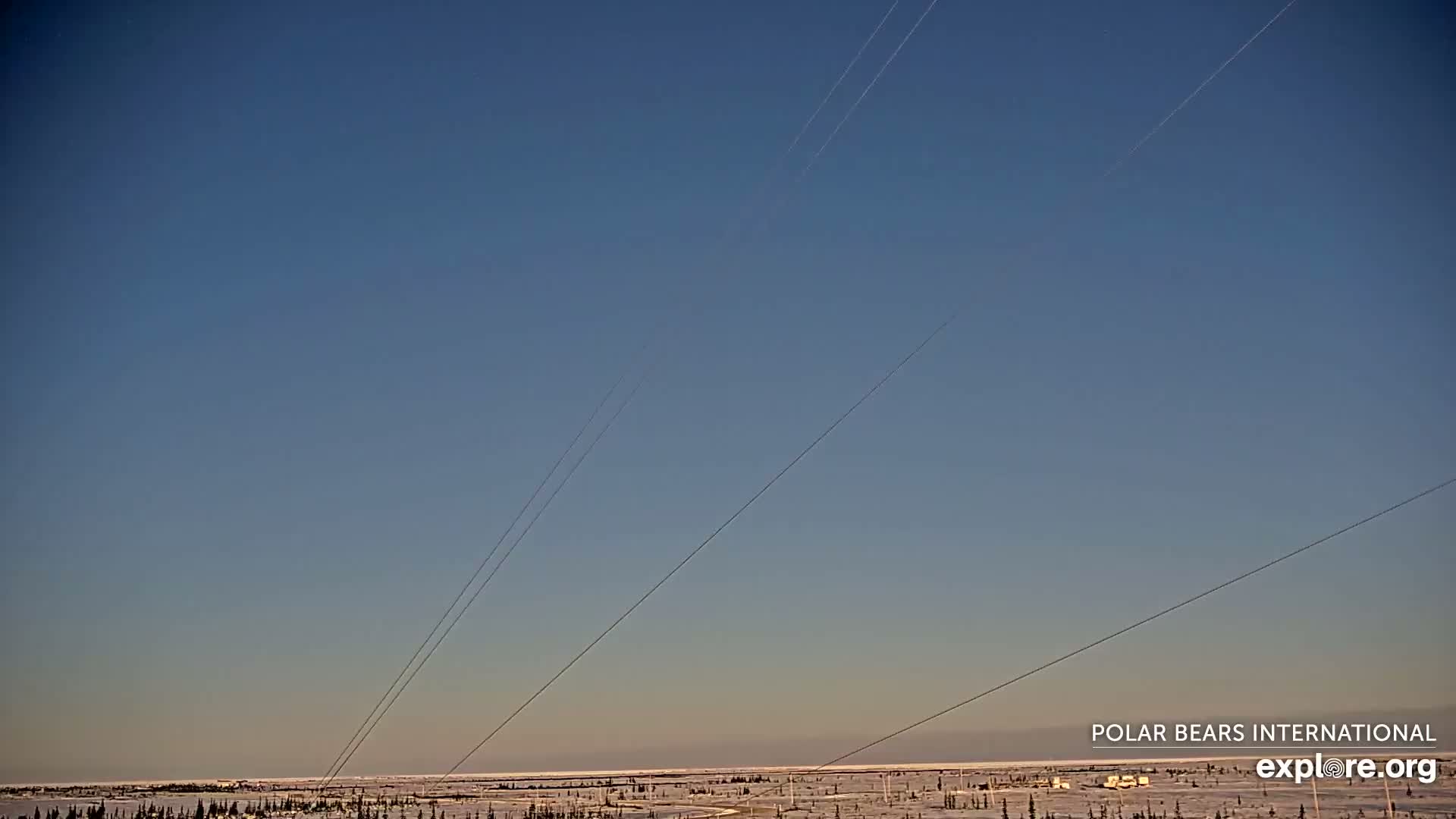 Churchill Marine Observatory, Northern Lights / Aurora Borealis / Stars View Live Cam - Churchill, Division No. 23, Northern Manitoba, Manitoba, Canada 