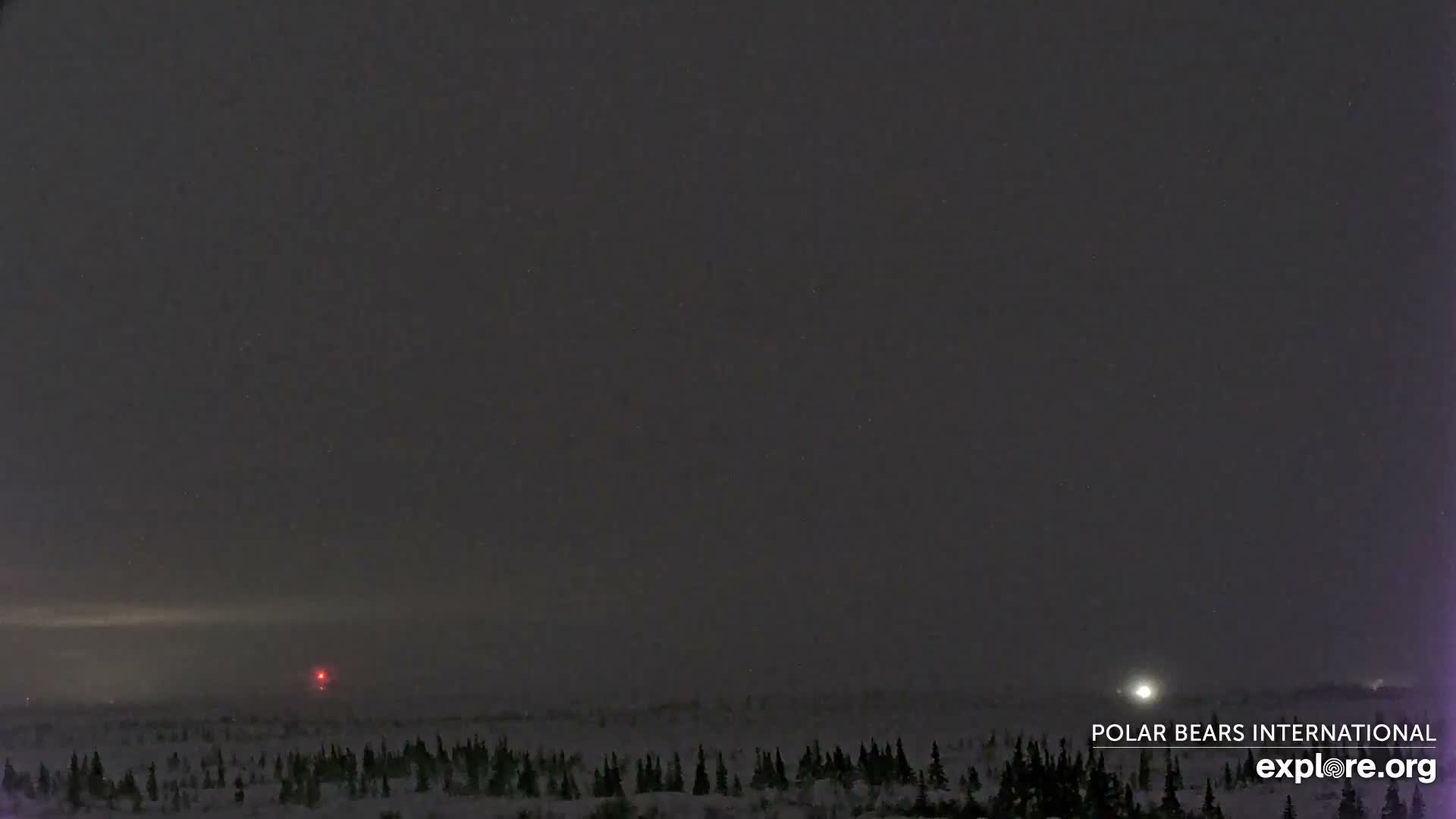 Churchill Marine Observatory, Northern Lights / Aurora Borealis / Stars View Live Cam - Churchill, Division No. 23, Northern Manitoba, Manitoba, Canada 