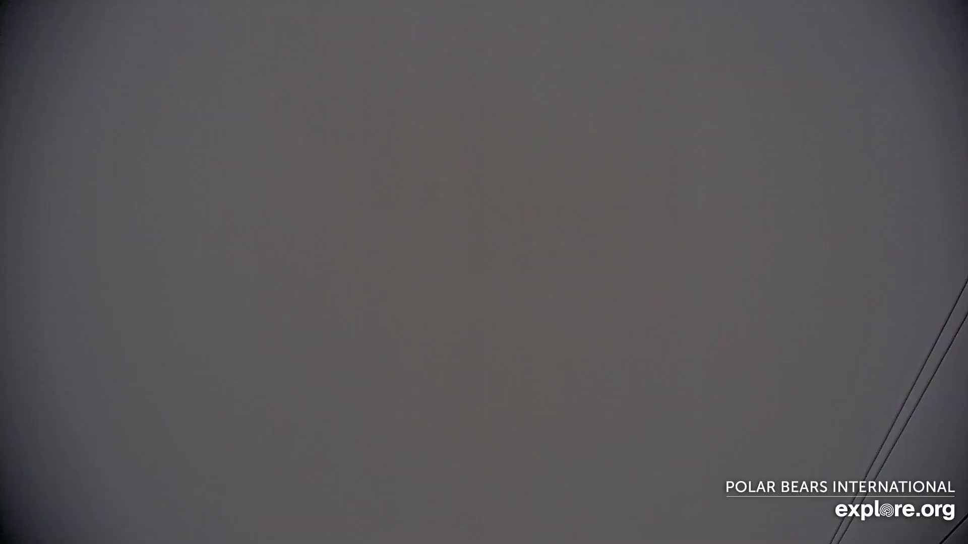 Churchill Marine Observatory, Northern Lights / Aurora Borealis / Stars View Live Cam - Churchill, Division No. 23, Northern Manitoba, Manitoba, Canada 