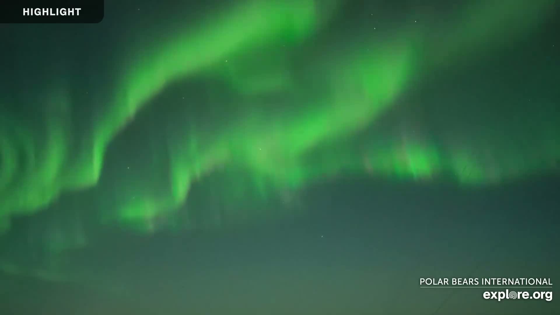 Churchill Marine Observatory, Northern Lights / Aurora Borealis / Stars View Live Cam - Churchill, Division No. 23, Northern Manitoba, Manitoba, Canada 