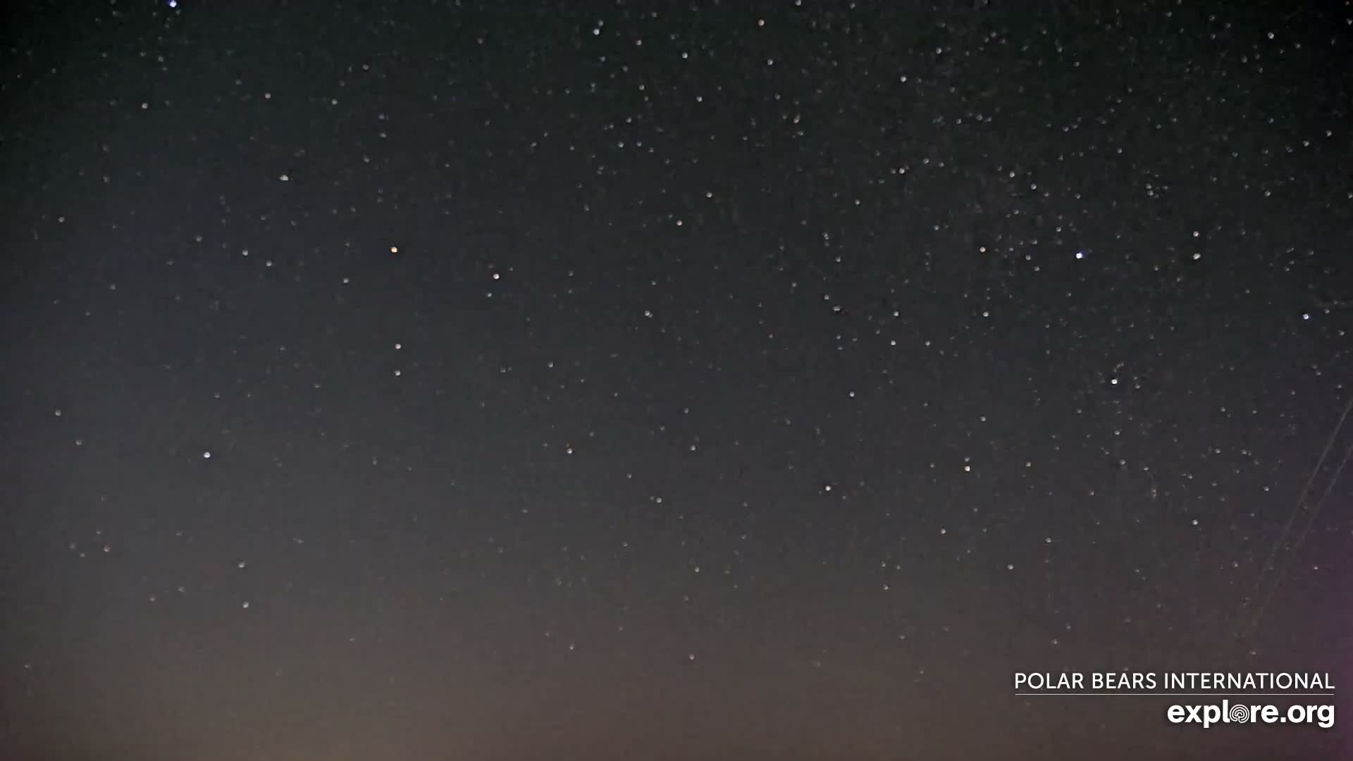 Churchill Marine Observatory, Northern Lights / Aurora Borealis / Stars View Live Cam - Churchill, Division No. 23, Northern Manitoba, Manitoba, Canada 