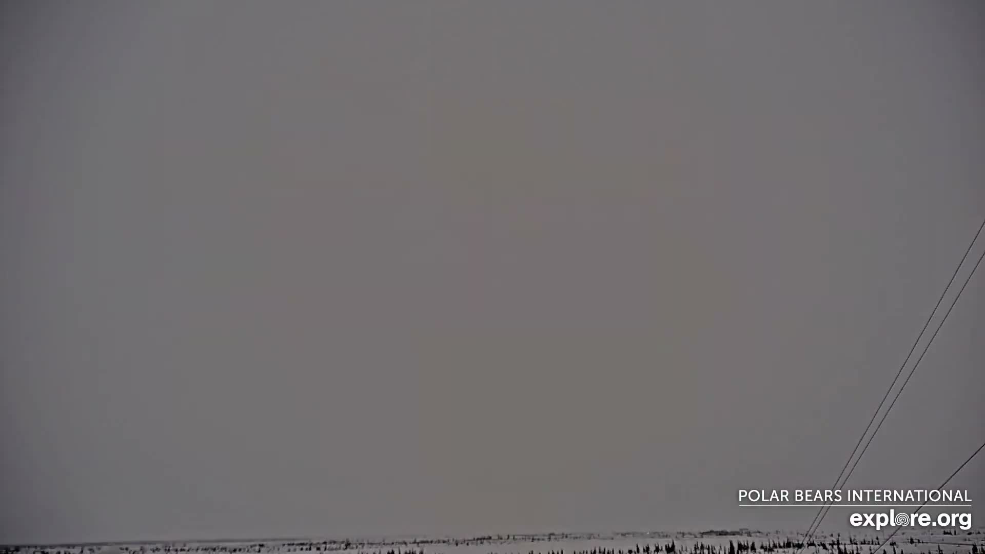 Churchill Marine Observatory, Northern Lights / Aurora Borealis / Stars View Live Cam - Churchill, Division No. 23, Northern Manitoba, Manitoba, Canada 