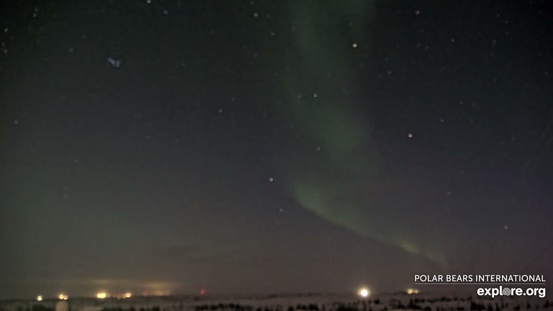 Churchill Marine Observatory, Northern Lights / Aurora Borealis / Stars View Live Cam - Churchill, Division No. 23, Northern Manitoba, Manitoba, Canada 