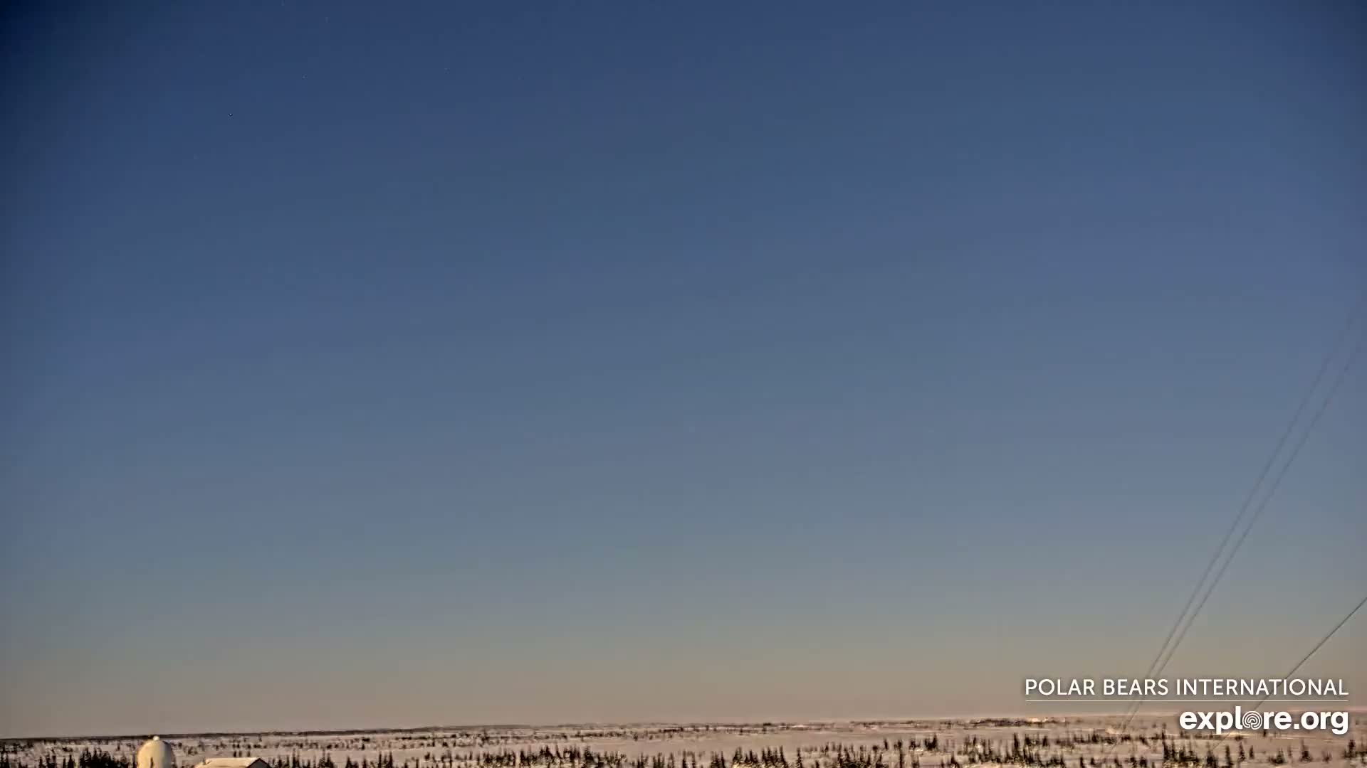 Churchill Marine Observatory, Northern Lights / Aurora Borealis / Stars View Live Cam - Churchill, Division No. 23, Northern Manitoba, Manitoba, Canada 