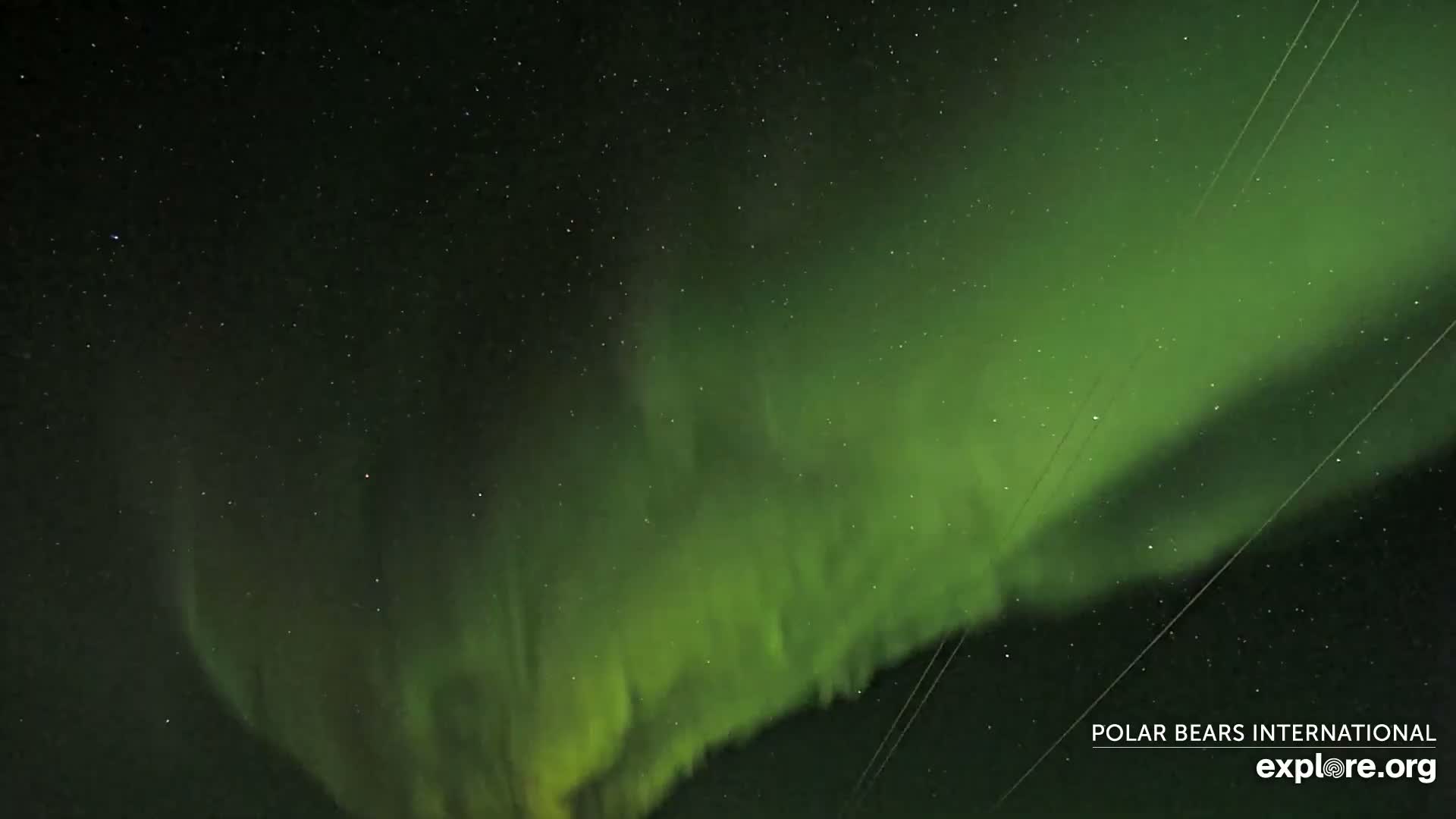 Churchill Marine Observatory, Northern Lights / Aurora Borealis / Stars View Live Cam - Churchill, Division No. 23, Northern Manitoba, Manitoba, Canada 