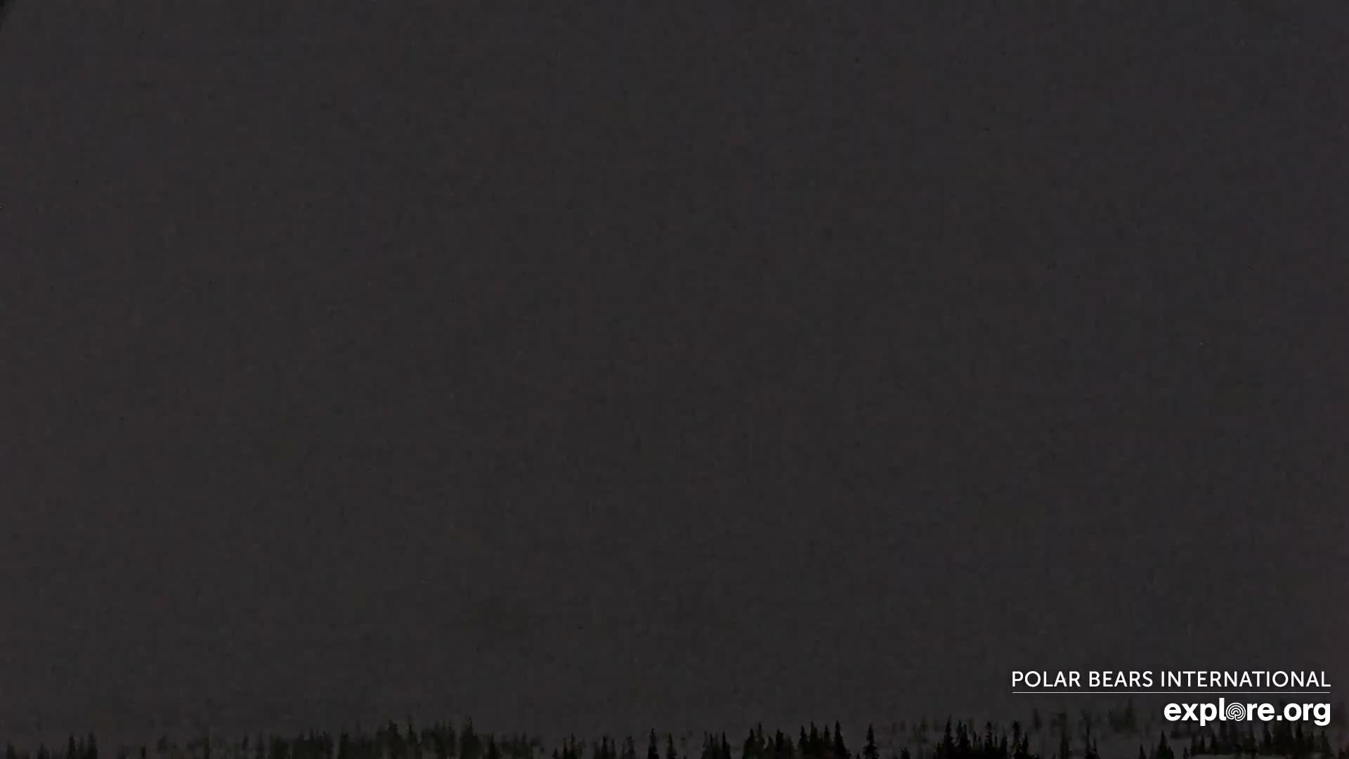 Churchill Marine Observatory, Northern Lights / Aurora Borealis / Stars View Live Cam - Churchill, Division No. 23, Northern Manitoba, Manitoba, Canada 