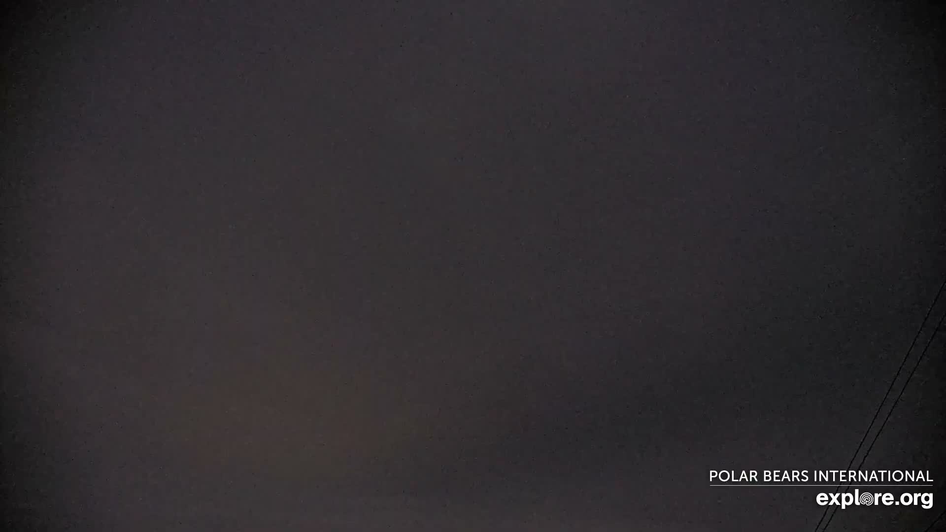 Churchill Marine Observatory, Northern Lights / Aurora Borealis / Stars View Live Cam - Churchill, Division No. 23, Northern Manitoba, Manitoba, Canada 