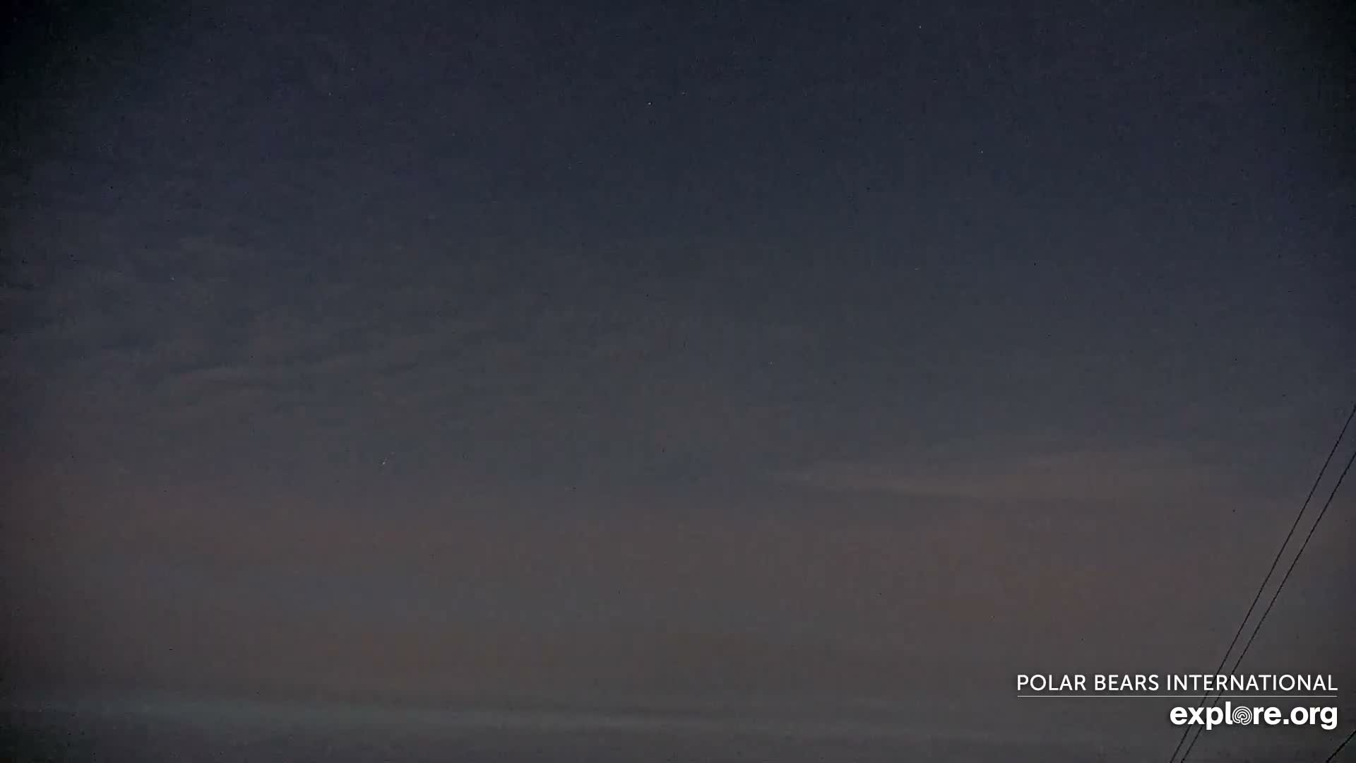 Churchill Marine Observatory, Northern Lights / Aurora Borealis / Stars View Live Cam - Churchill, Division No. 23, Northern Manitoba, Manitoba, Canada 