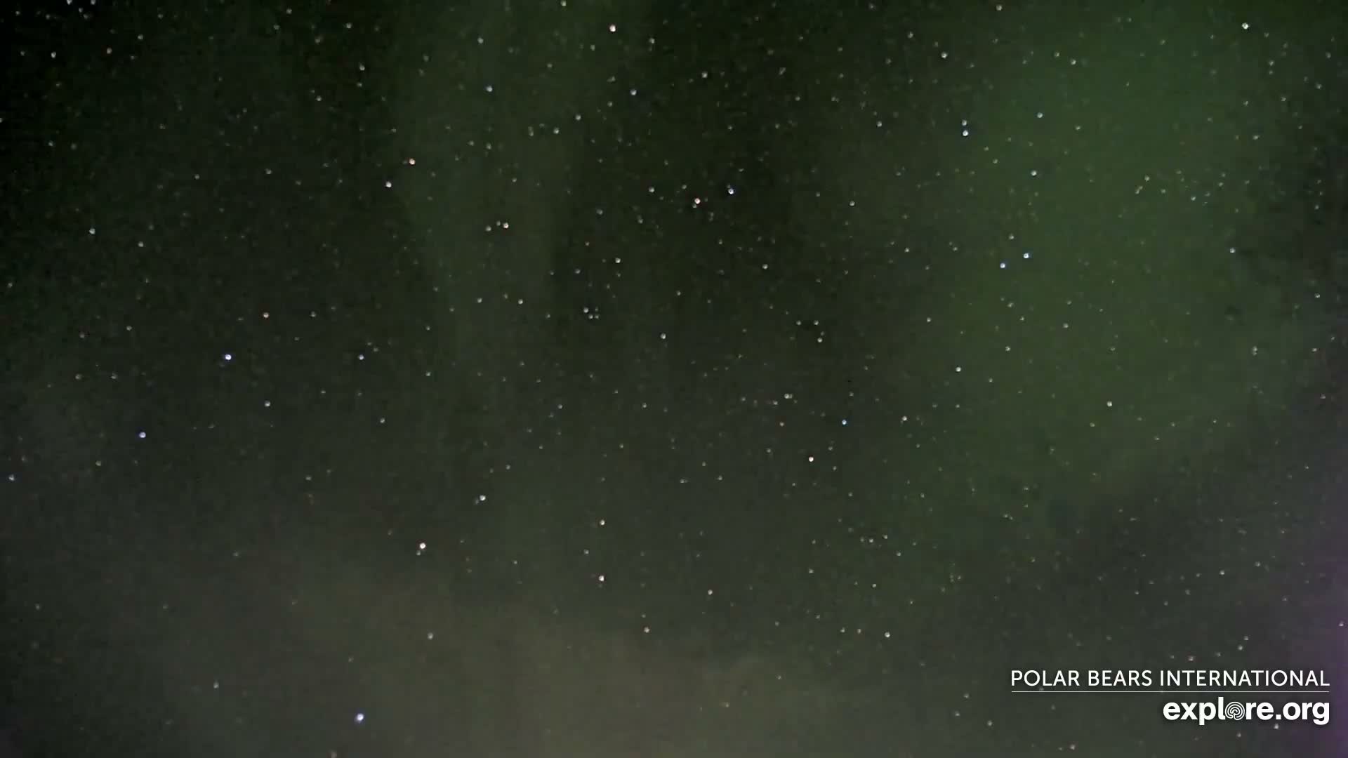 Churchill Marine Observatory, Northern Lights / Aurora Borealis / Stars View Live Cam - Churchill, Division No. 23, Northern Manitoba, Manitoba, Canada 
