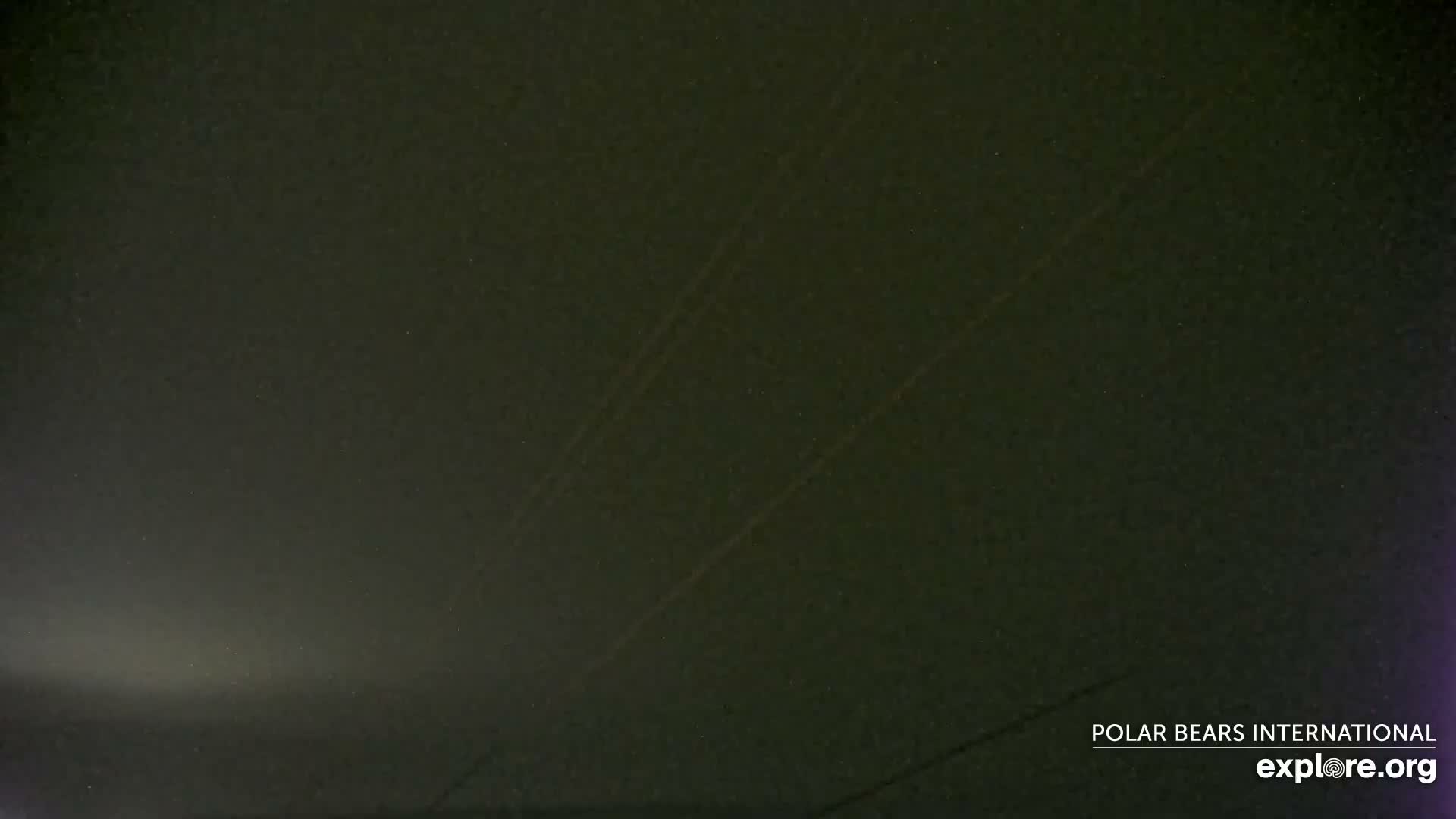 Churchill Marine Observatory, Northern Lights / Aurora Borealis / Stars View Live Cam - Churchill, Division No. 23, Northern Manitoba, Manitoba, Canada 