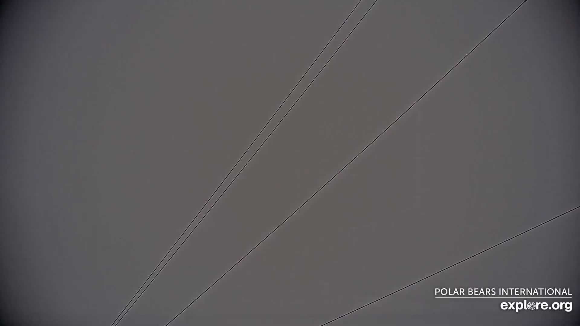 Churchill Marine Observatory, Northern Lights / Aurora Borealis / Stars View Live Cam - Churchill, Division No. 23, Northern Manitoba, Manitoba, Canada 
