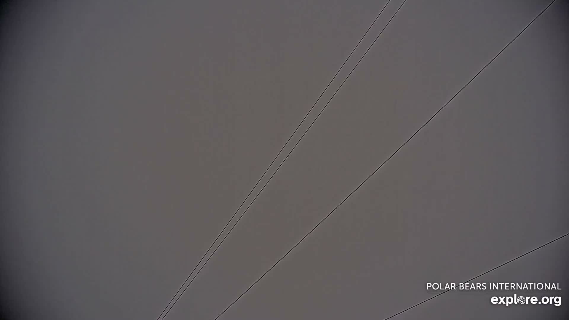 Churchill Marine Observatory, Northern Lights / Aurora Borealis / Stars View Live Cam - Churchill, Division No. 23, Northern Manitoba, Manitoba, Canada 