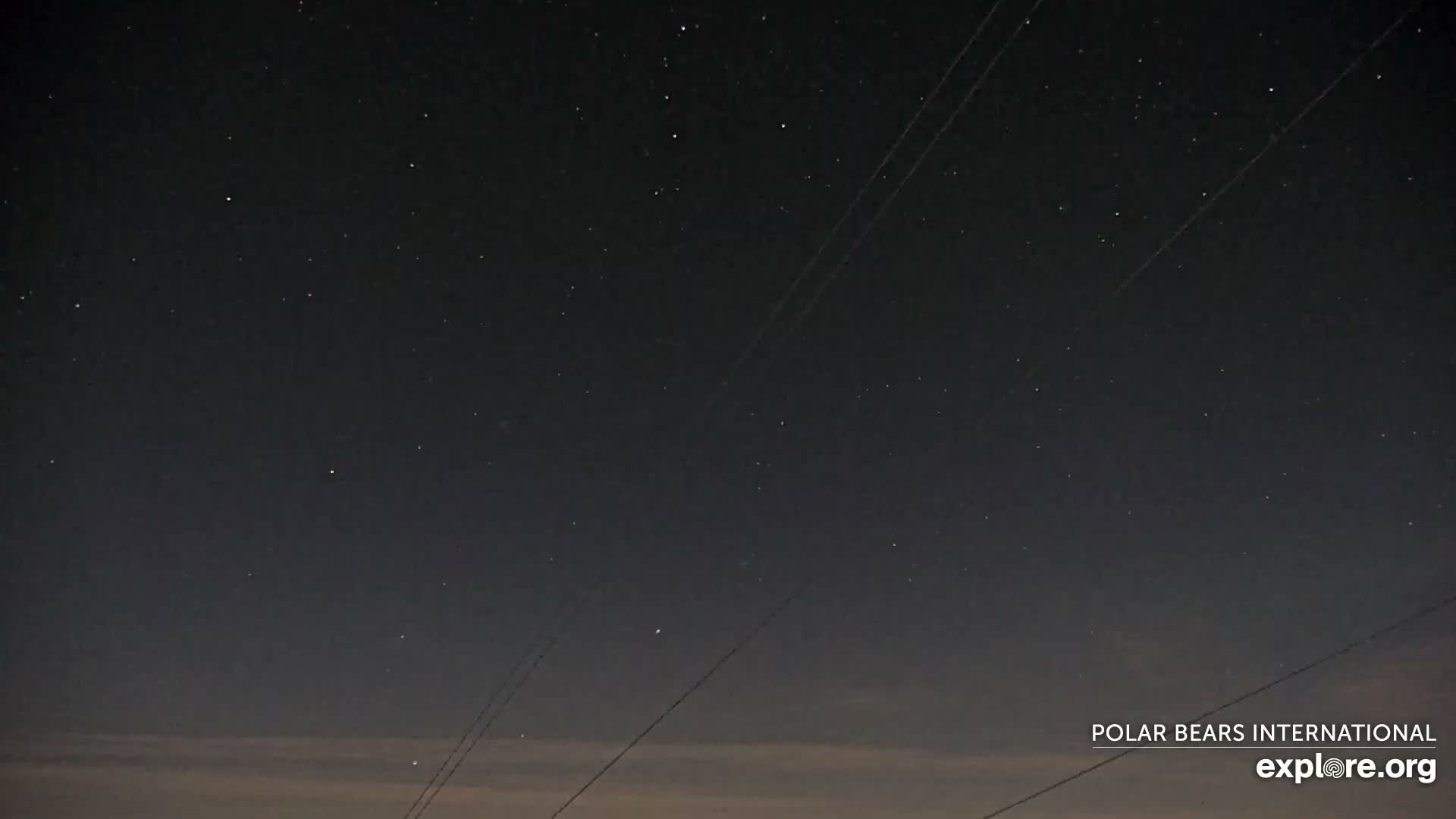 Churchill Marine Observatory, Northern Lights / Aurora Borealis / Stars View Live Cam - Churchill, Division No. 23, Northern Manitoba, Manitoba, Canada 
