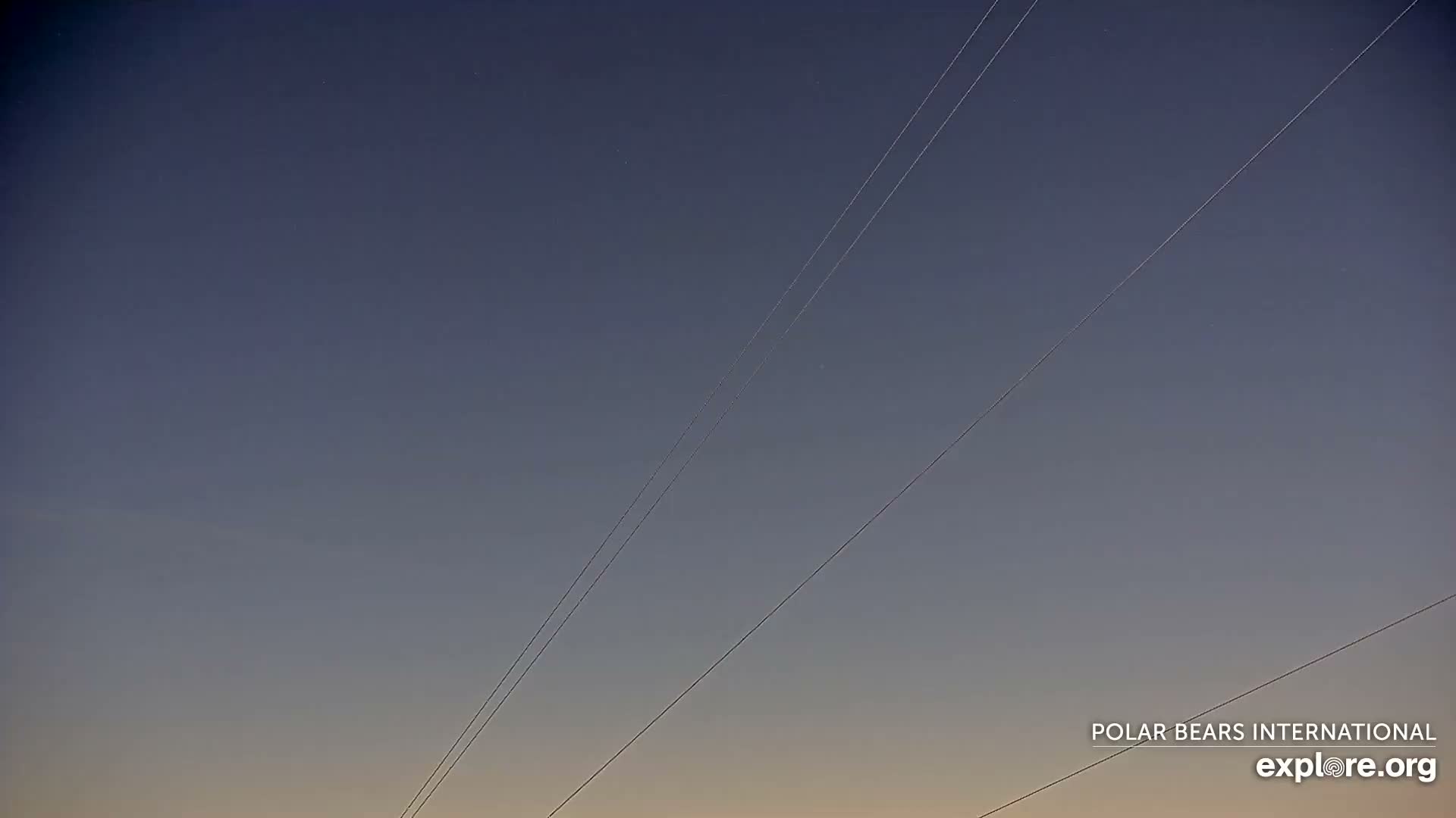 Churchill Marine Observatory, Northern Lights / Aurora Borealis / Stars View Live Cam - Churchill, Division No. 23, Northern Manitoba, Manitoba, Canada 