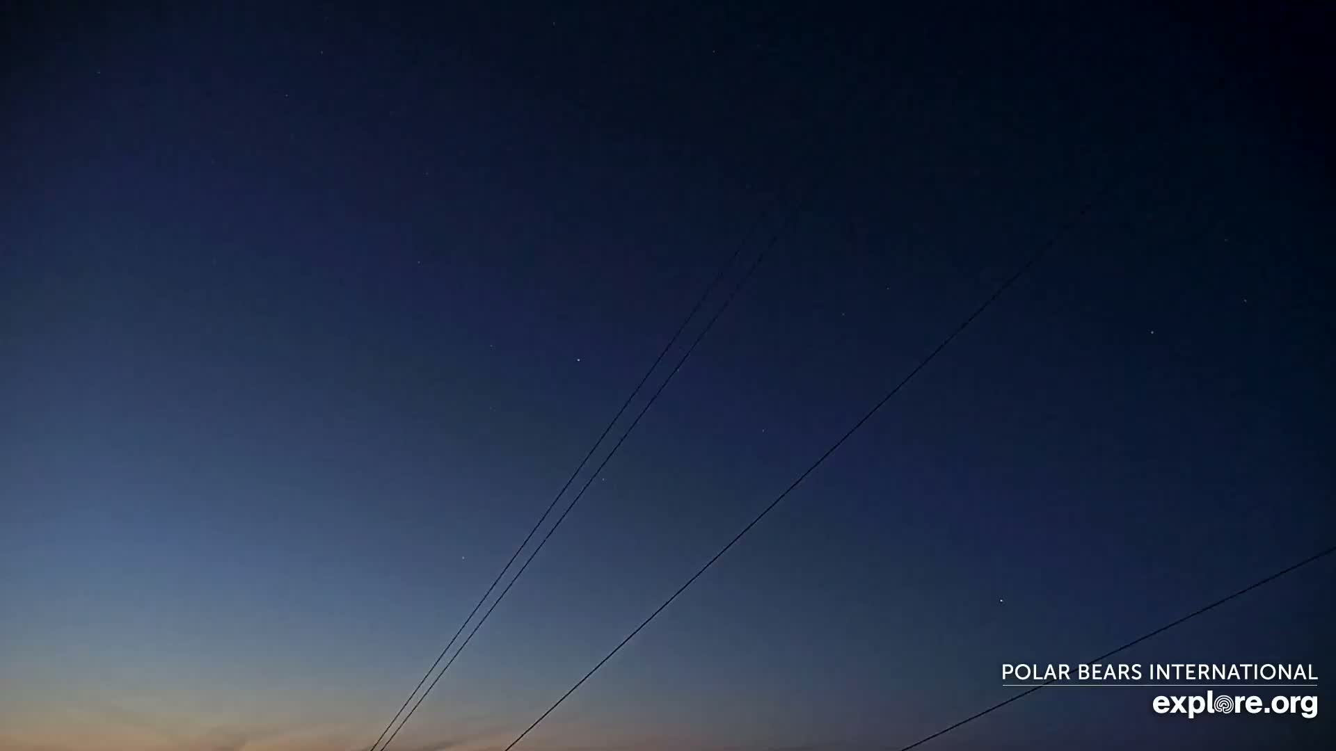 Churchill Marine Observatory, Northern Lights / Aurora Borealis / Stars View Live Cam - Churchill, Division No. 23, Northern Manitoba, Manitoba, Canada 
