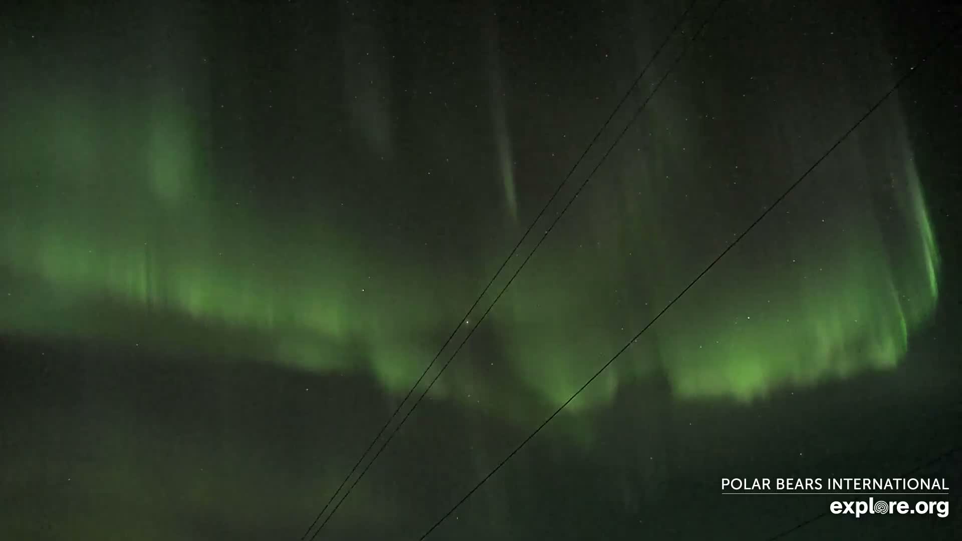 Churchill Marine Observatory, Northern Lights / Aurora Borealis / Stars View Live Cam - Churchill, Division No. 23, Northern Manitoba, Manitoba, Canada 