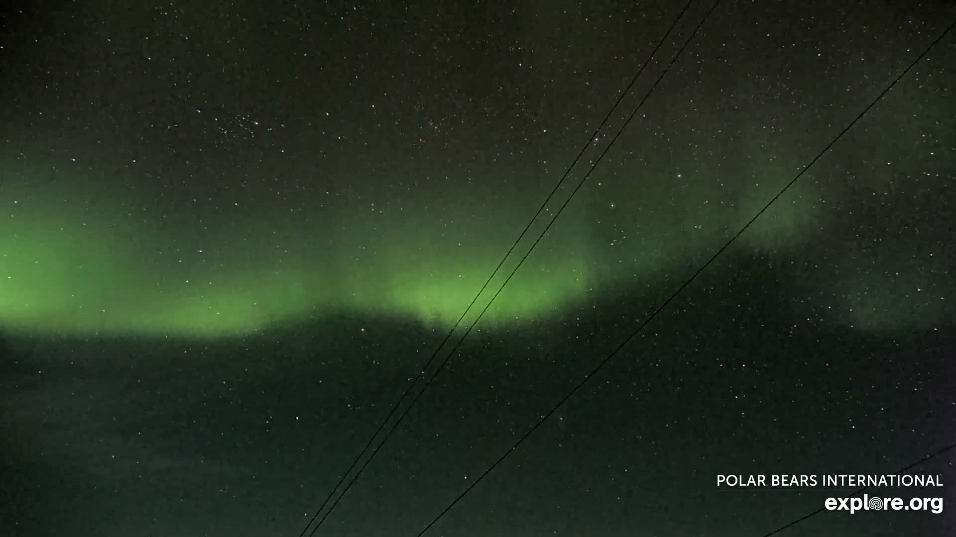 Churchill Marine Observatory, Northern Lights / Aurora Borealis / Stars View Live Cam - Churchill, Division No. 23, Northern Manitoba, Manitoba, Canada 