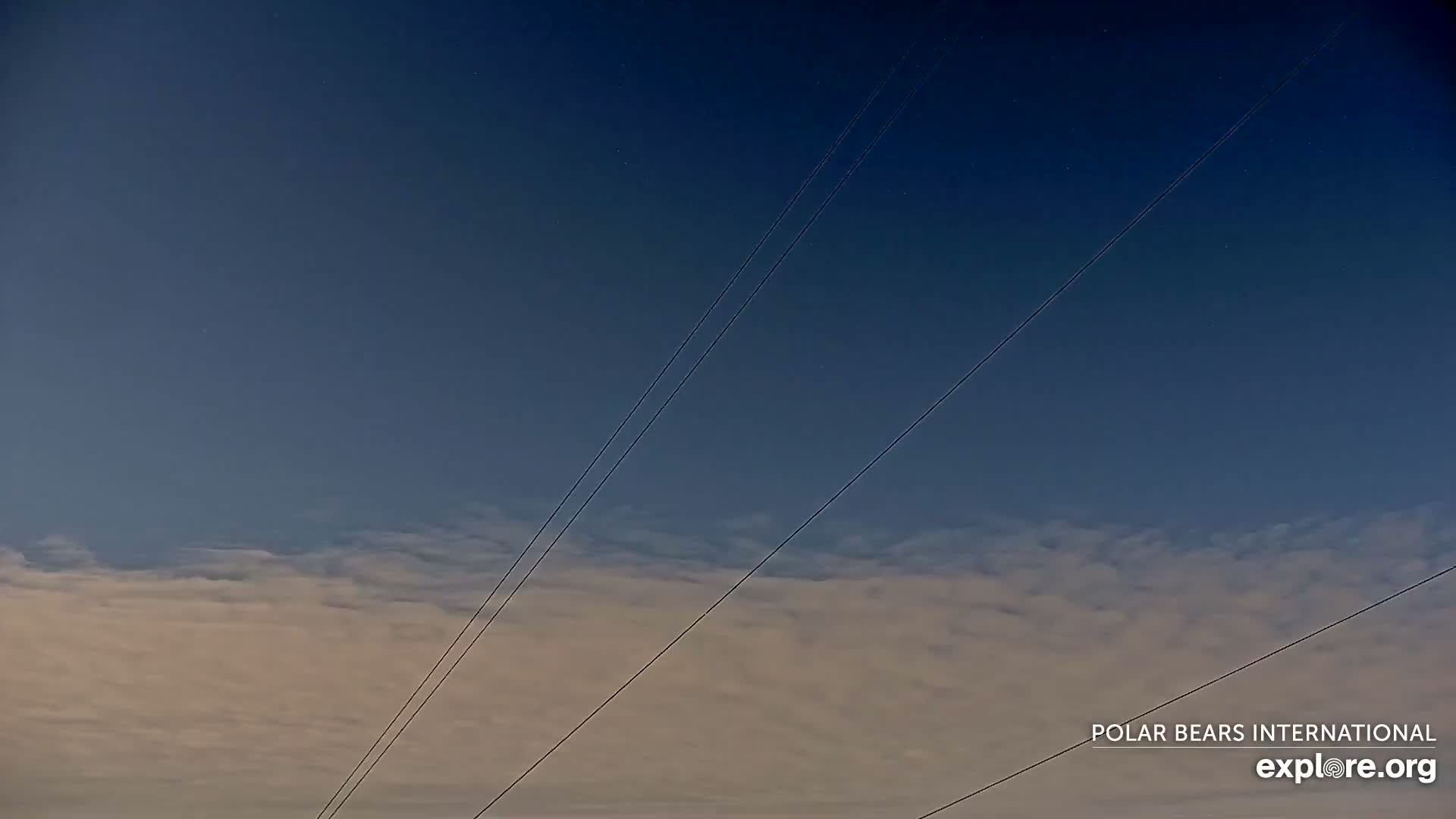Churchill Marine Observatory, Northern Lights / Aurora Borealis / Stars View Live Cam - Churchill, Division No. 23, Northern Manitoba, Manitoba, Canada 