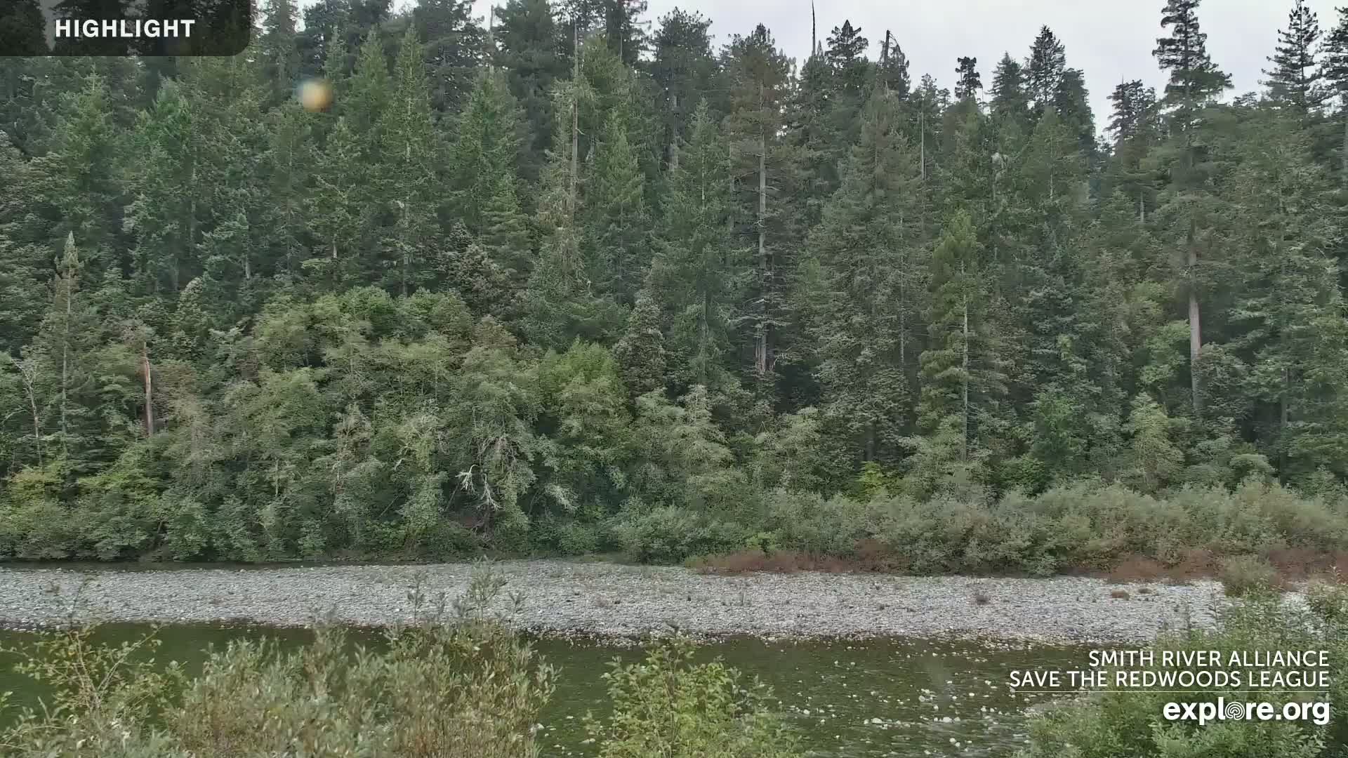 A calm river with a rocky shoreline flows in front of a lush forest under an overcast sky.
