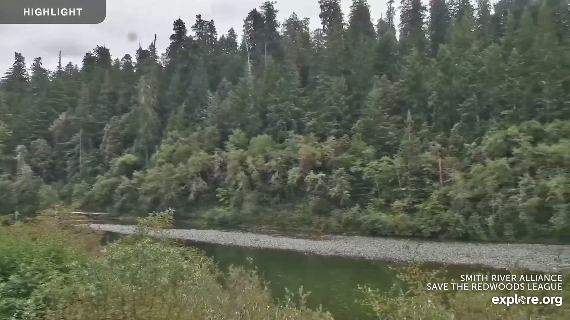 A calm river flows through a lush green forest under an overcast sky.