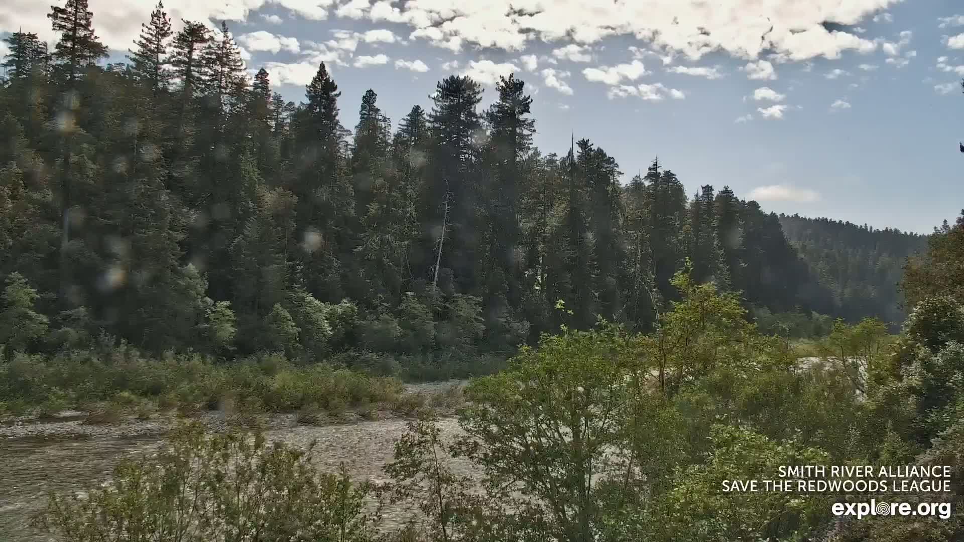A river flows through a lush forest under a partly cloudy sky.