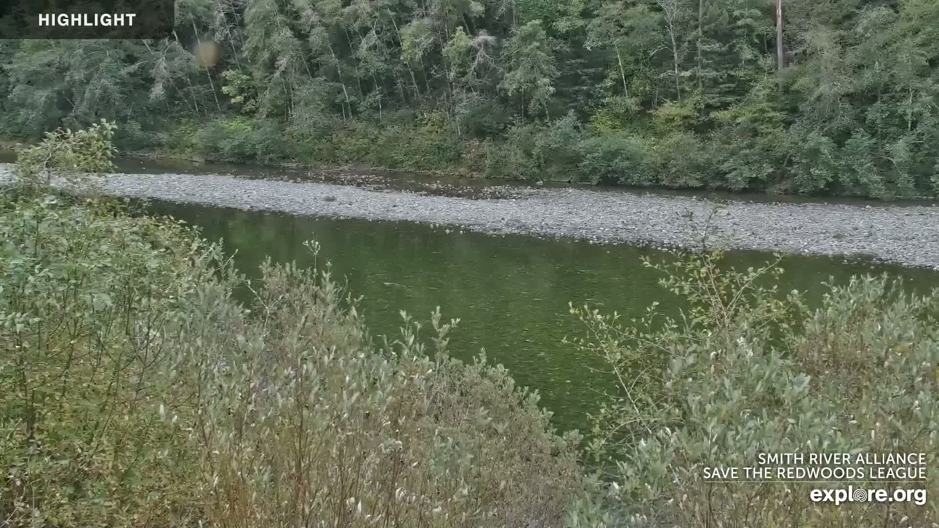A green river flows through a rocky riverbed, bordered by lush green vegetation under an overcast sky.