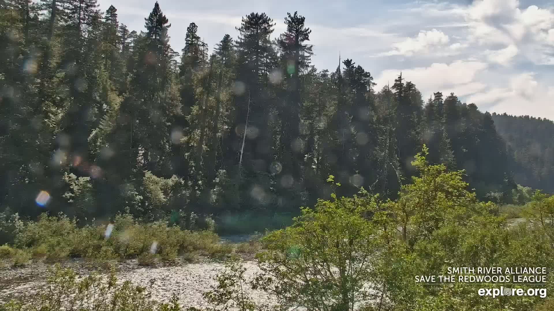 A river flows through a lush green forest under a partly cloudy sky, with light rain or spray visible in the air.