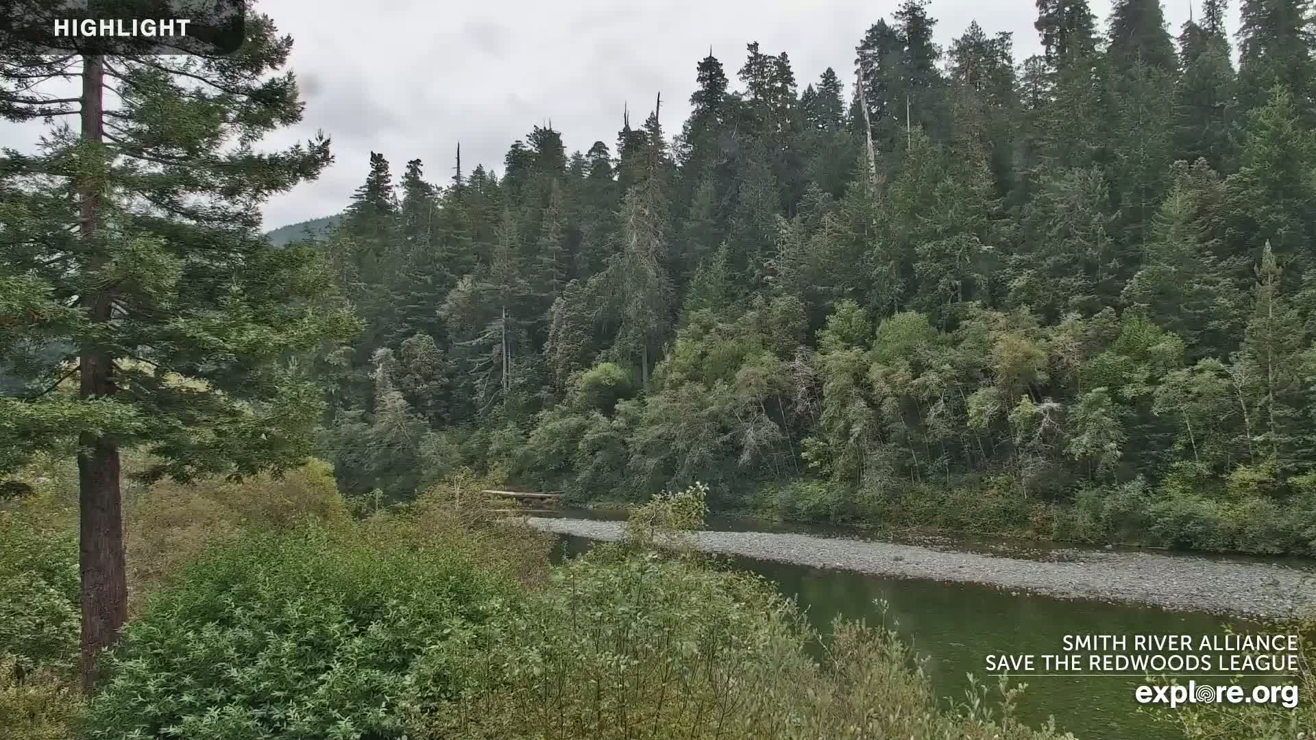 A calm river flows through a lush green forest under an overcast sky.