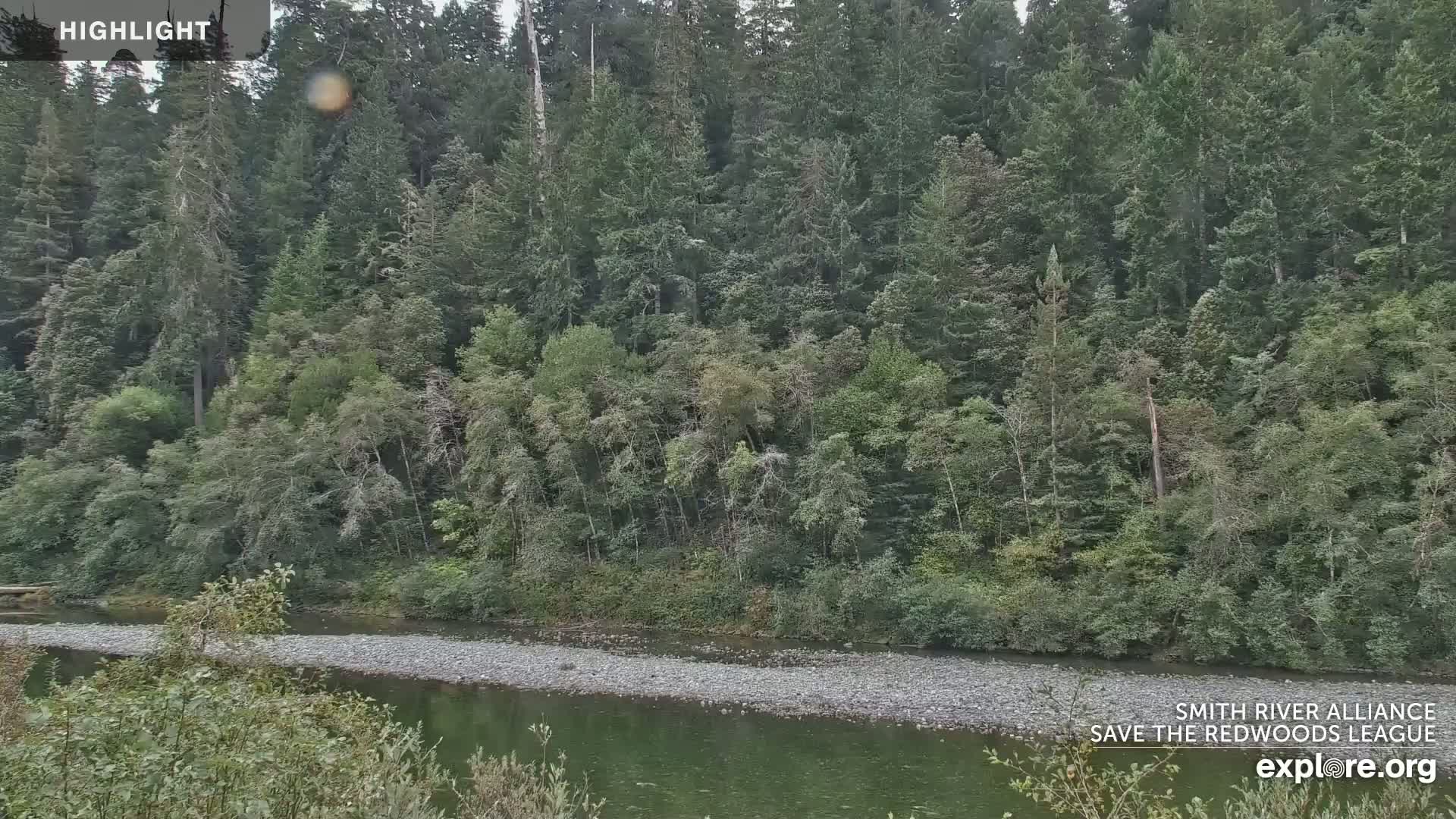 A calm river flows by a lush, green forest under an overcast sky.