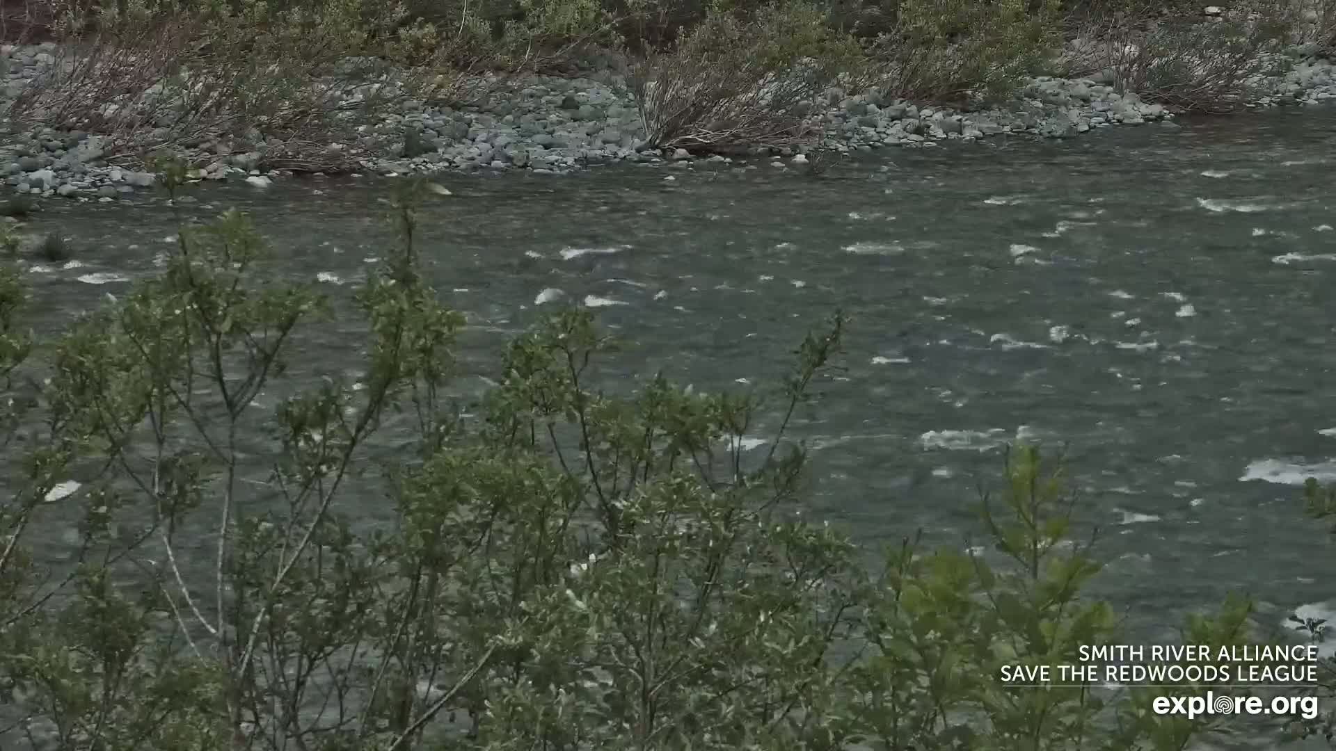 A swiftly flowing river is partially obscured by green bushes in the foreground.
