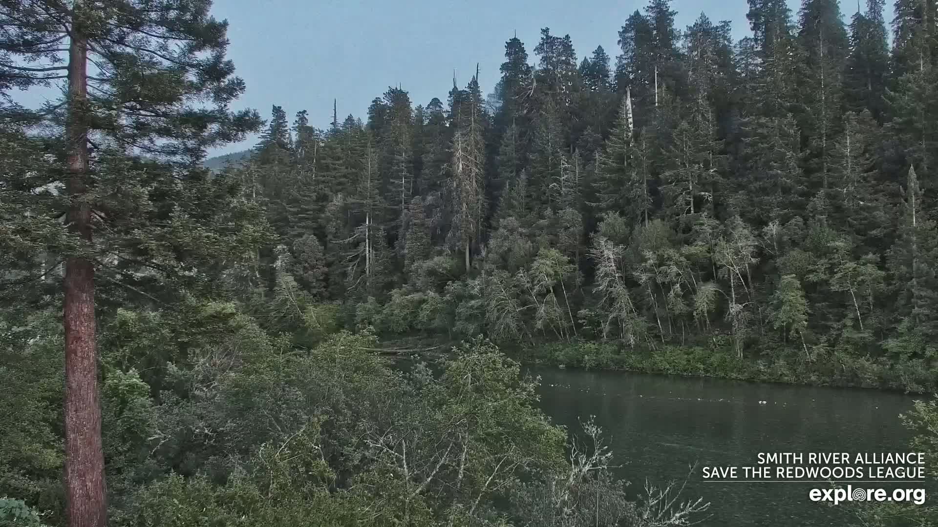 Crescent City, Jedediah Smith Redwoods State Park & Smith River Live Cam - Crescent City, Del Norte, California, USA