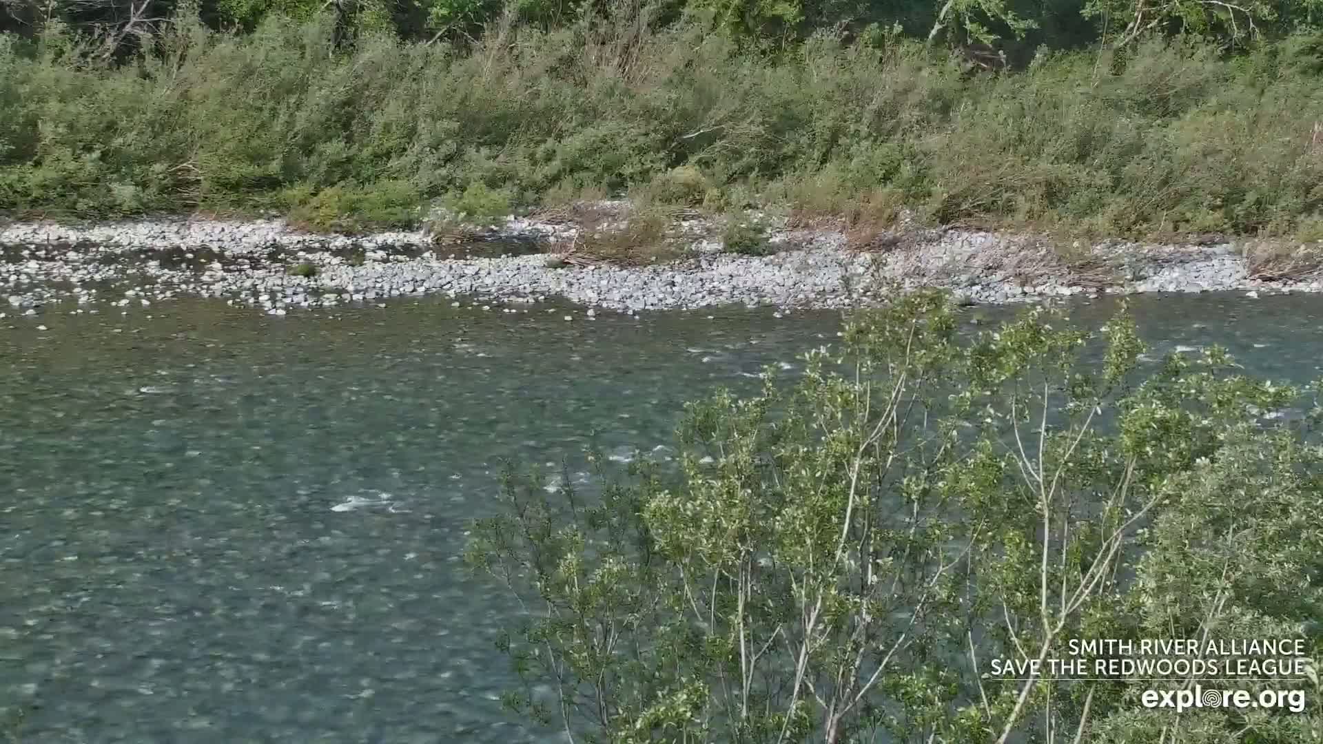 A clear, shallow river flows over a rocky bed, bordered by lush green vegetation.