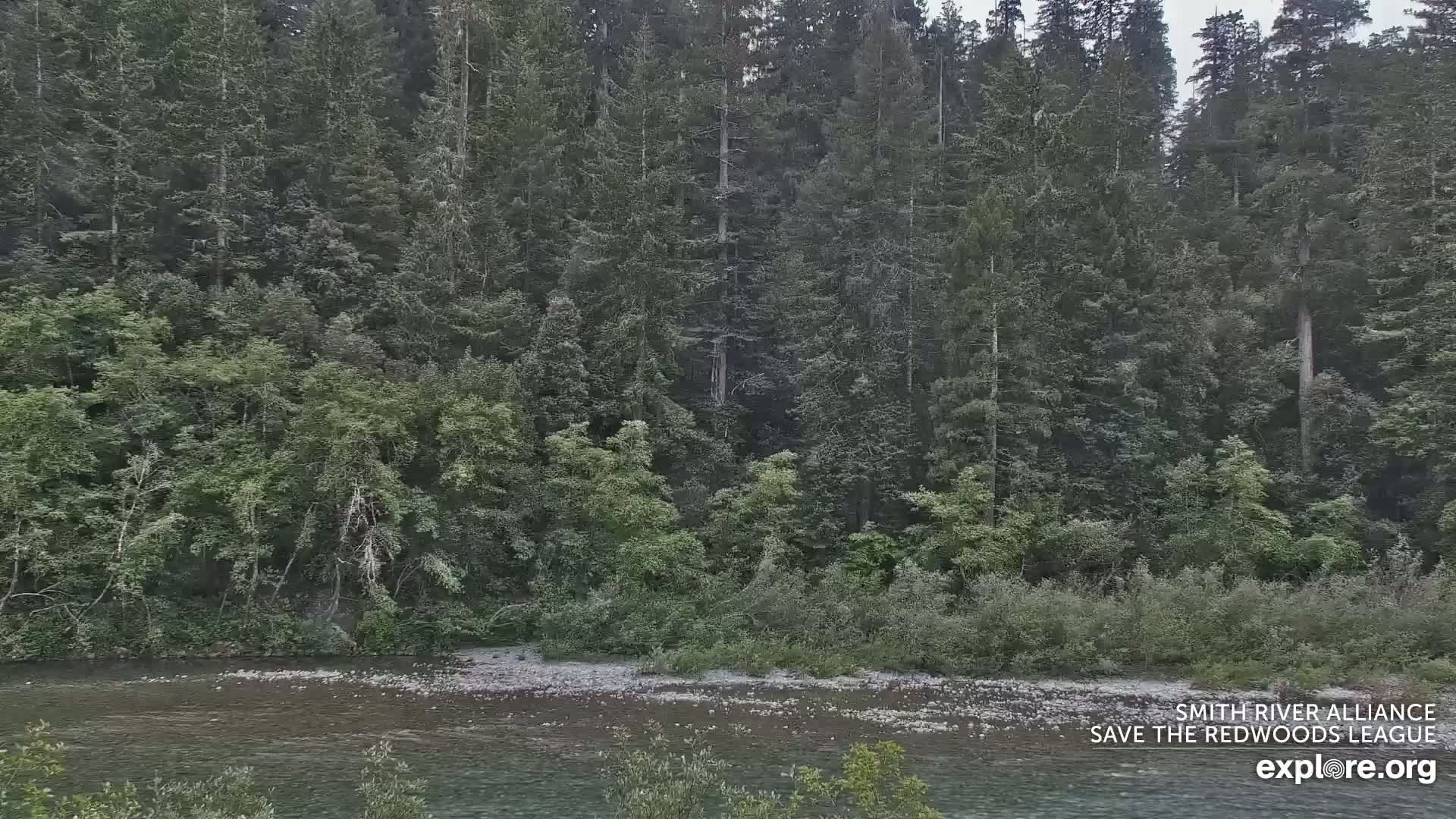 Crescent City, Jedediah Smith Redwoods State Park & Smith River Live Cam - Crescent City, Del Norte, California, USA