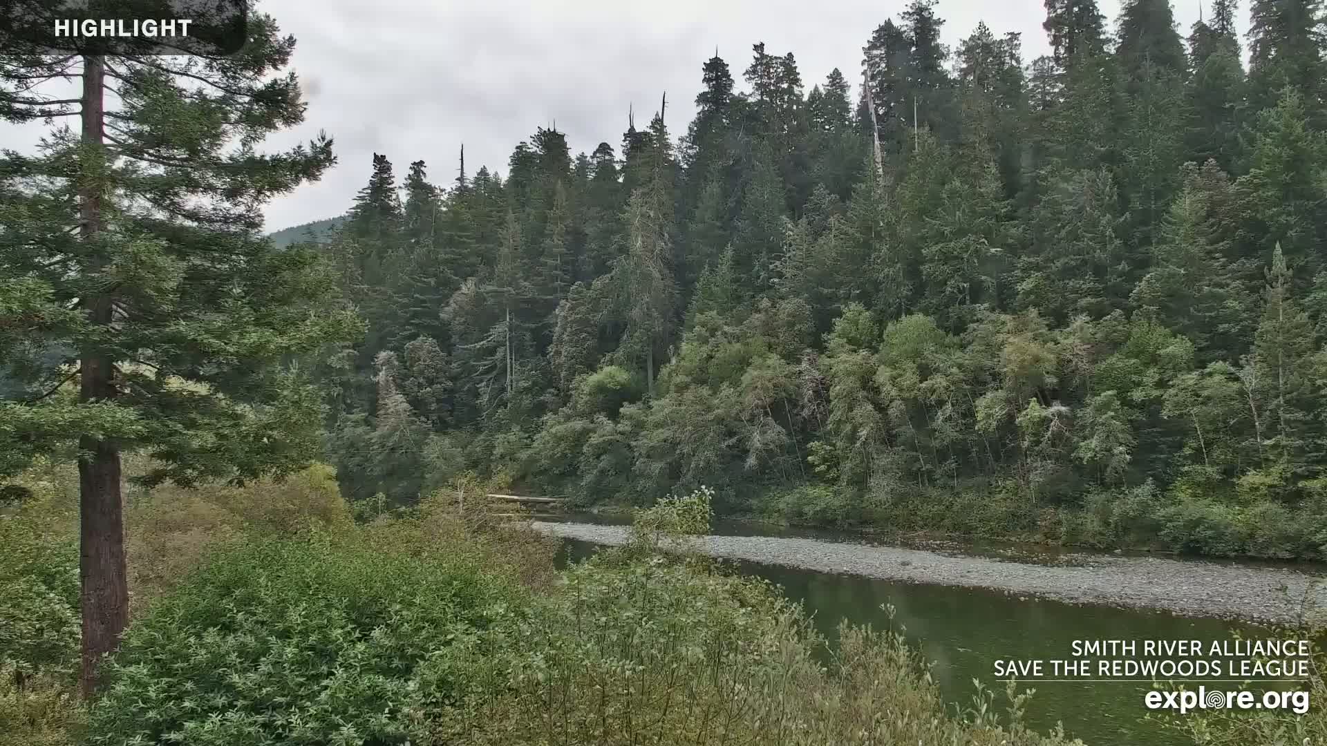 A calm river flows through a lush green forest under an overcast sky.