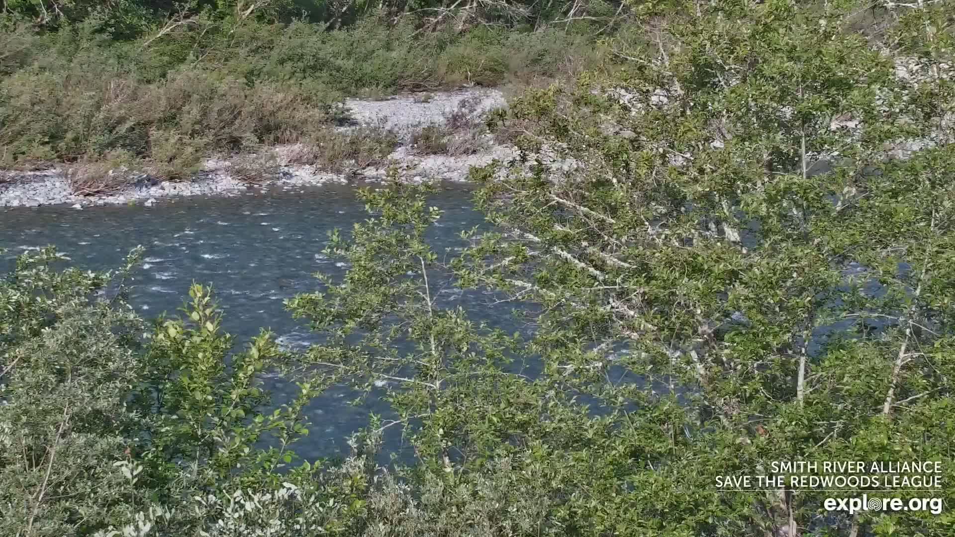 A gently flowing river is partially visible through lush green foliage under a sunny sky.