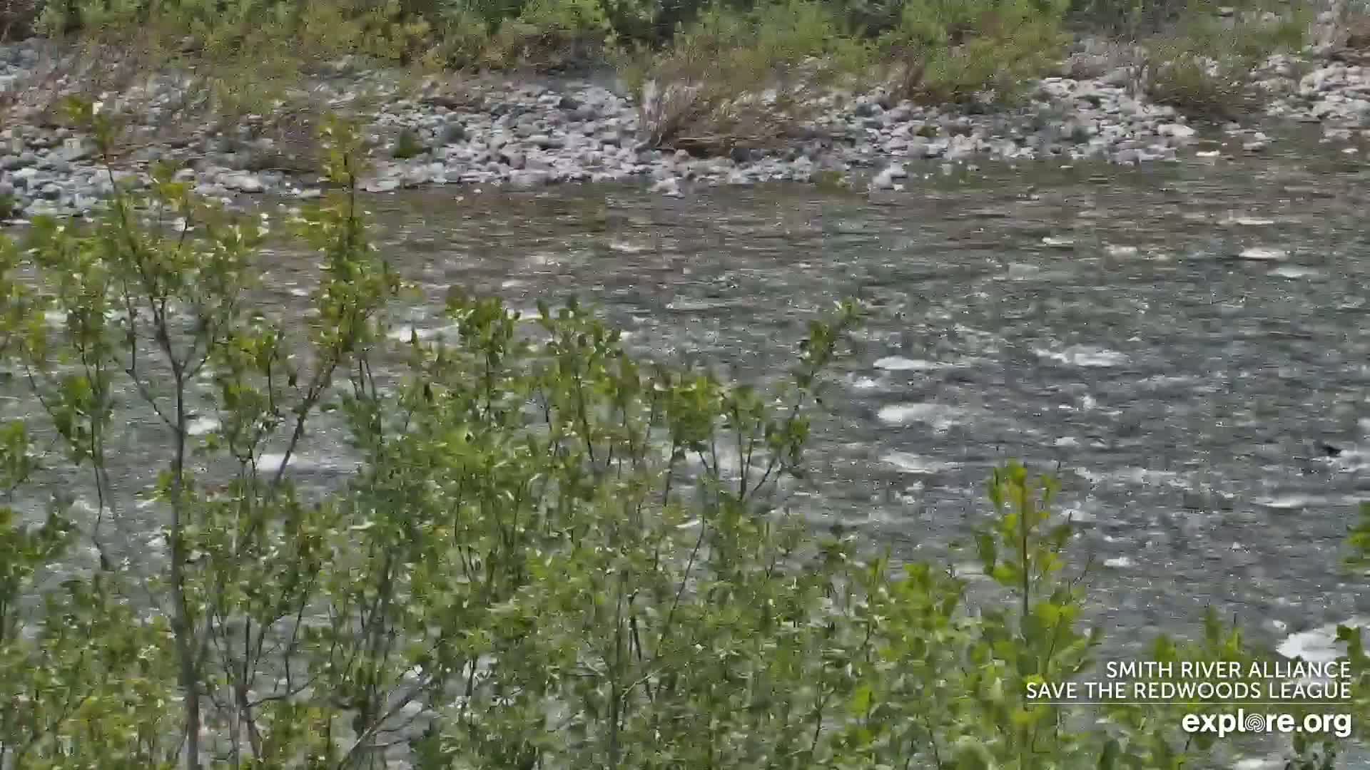 Crescent City, Jedediah Smith Redwoods State Park & Smith River Live Cam - Crescent City, Del Norte, California, USA