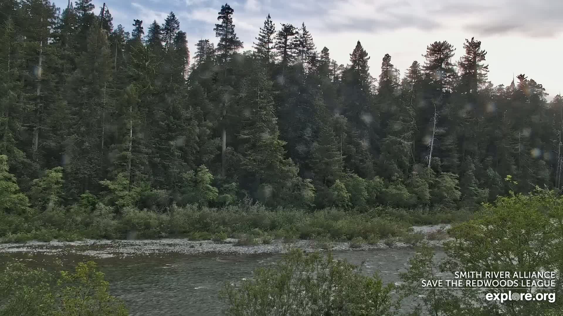 Crescent City, Jedediah Smith Redwoods State Park & Smith River Live Cam - Crescent City, Del Norte, California, USA