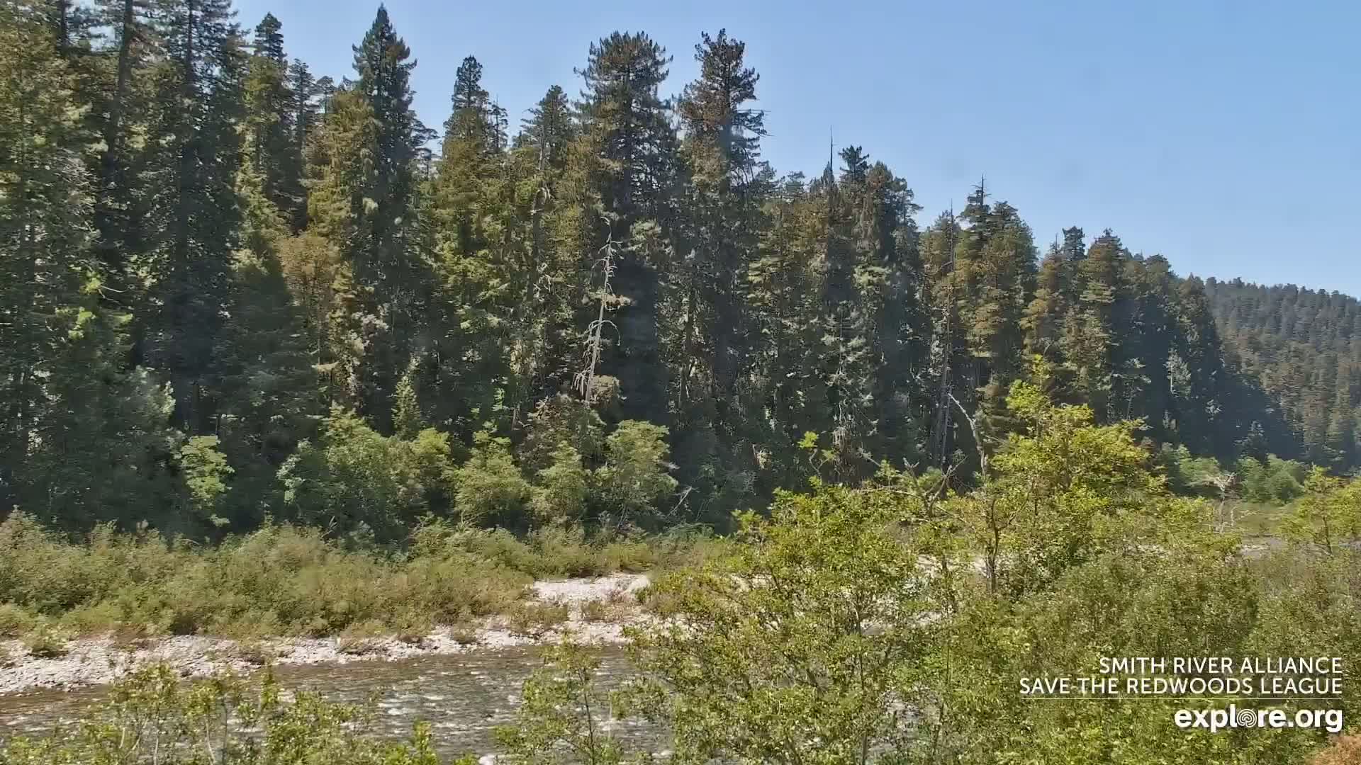 Crescent City, Jedediah Smith Redwoods State Park & Smith River Live Cam - Crescent City, Del Norte, California, USA