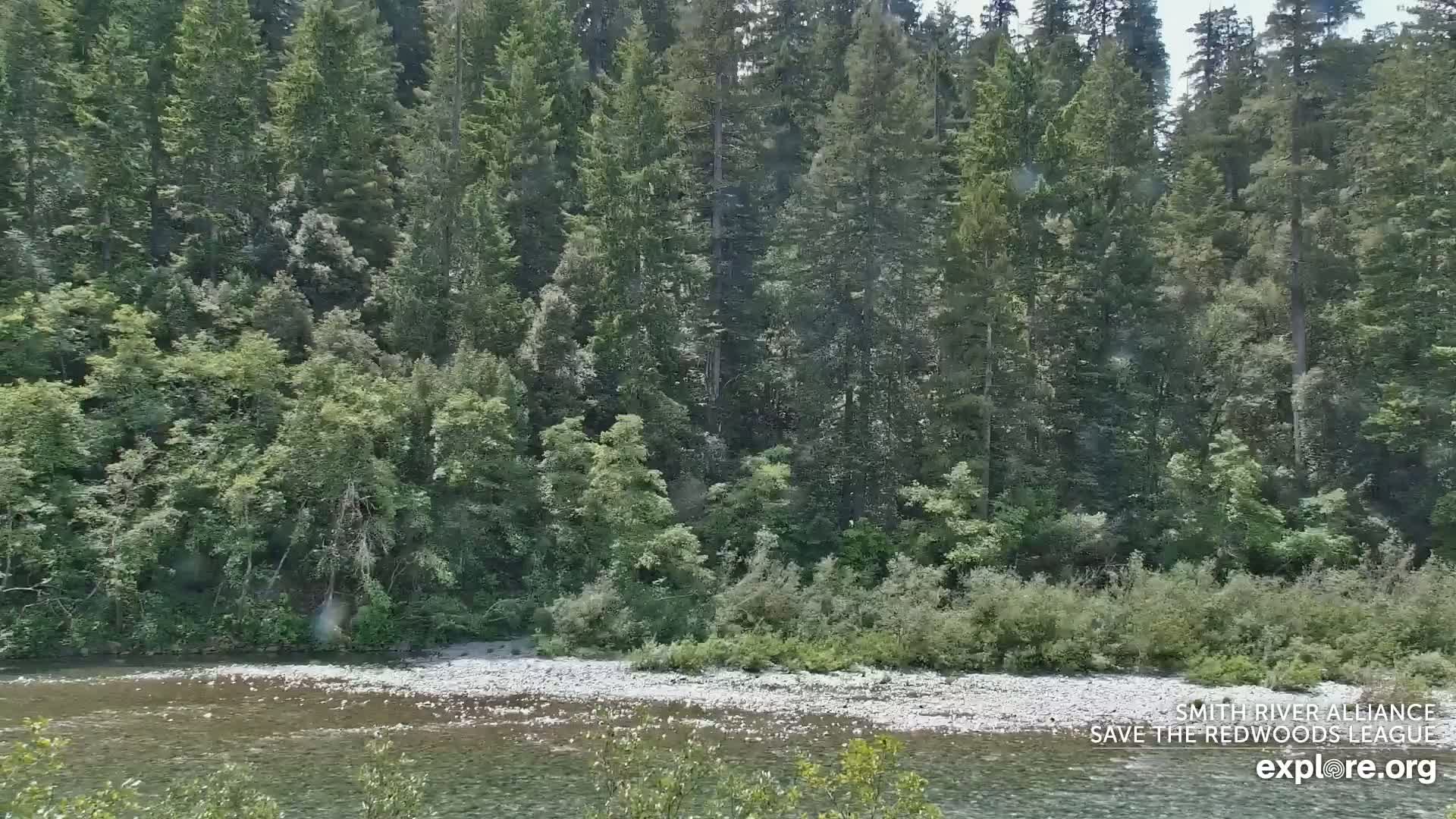 Crescent City, Jedediah Smith Redwoods State Park & Smith River Live Cam - Crescent City, Del Norte, California, USA