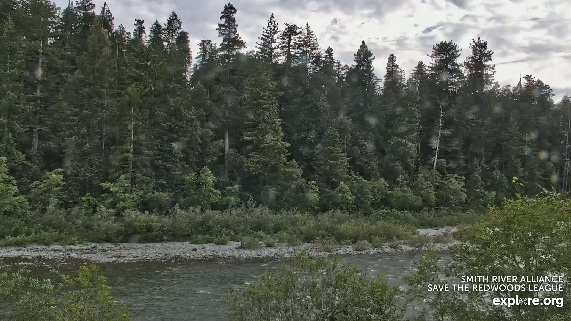 Crescent City, Jedediah Smith Redwoods State Park & Smith River Live Cam - Crescent City, Del Norte, California, USA