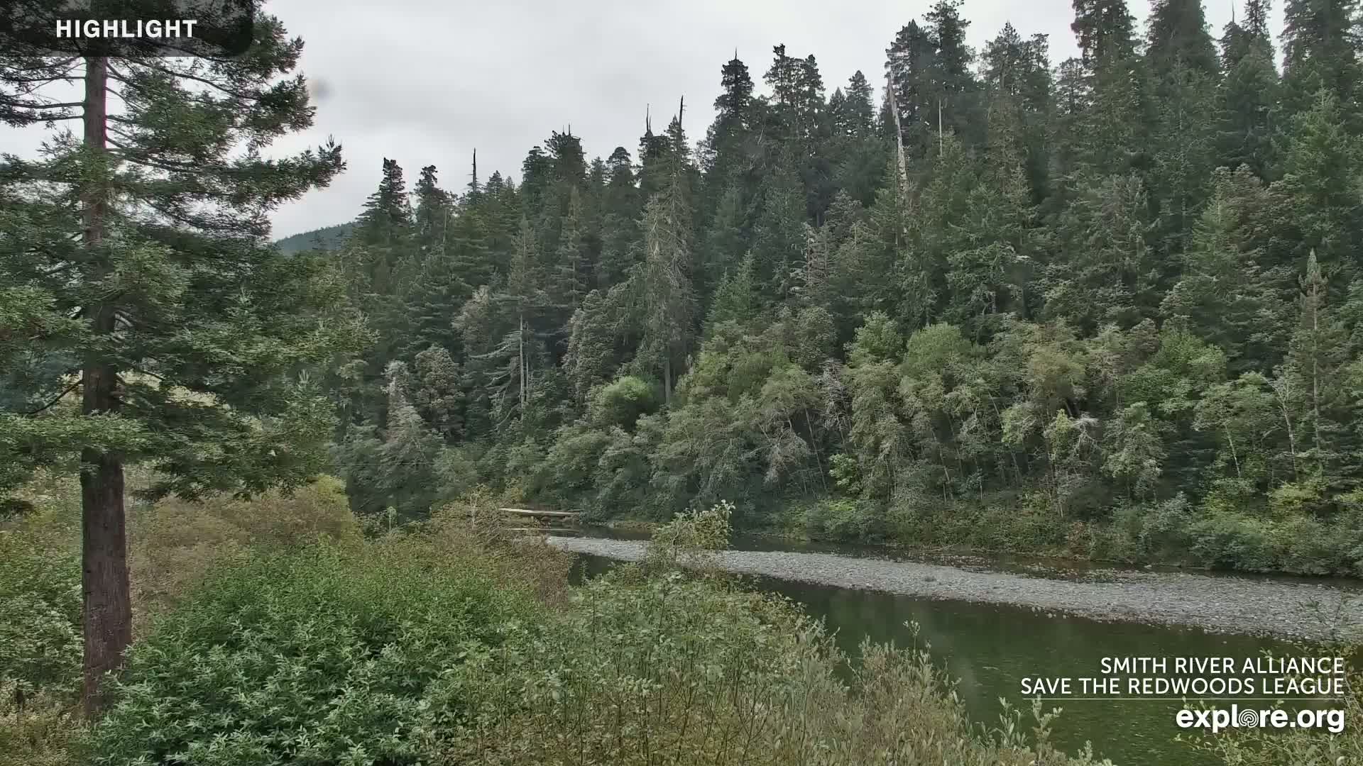 A river flows through a lush green forest under an overcast sky.