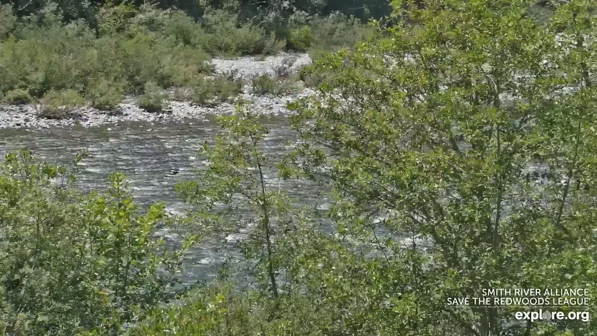 A swiftly flowing river is partially visible through lush green vegetation.