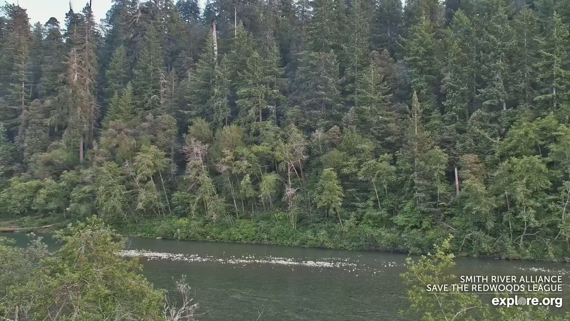 A calm river flows past a dense forest under a partly cloudy sky.