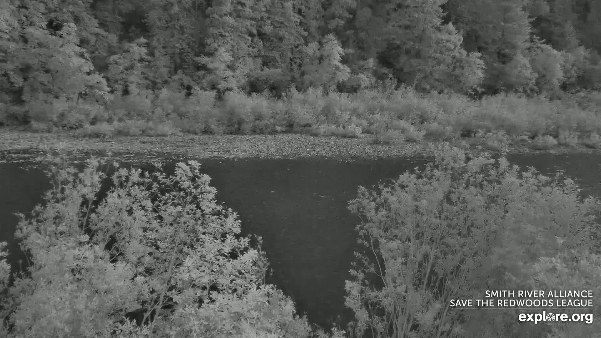 Crescent City, Jedediah Smith Redwoods State Park & Smith River Live Cam - Crescent City, Del Norte, California, USA