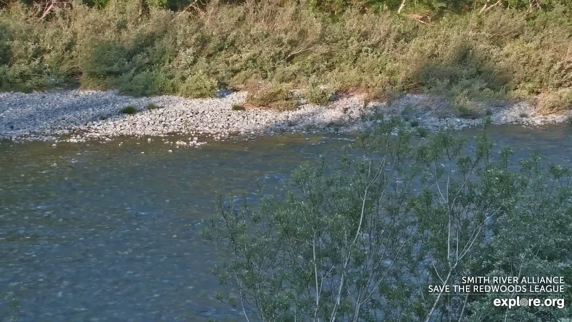 A calm river flows past a rocky bank lined with lush green vegetation.